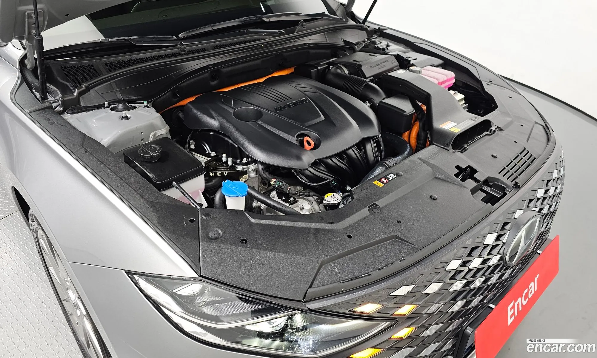 Korex Auto Trade - фотография 11902657