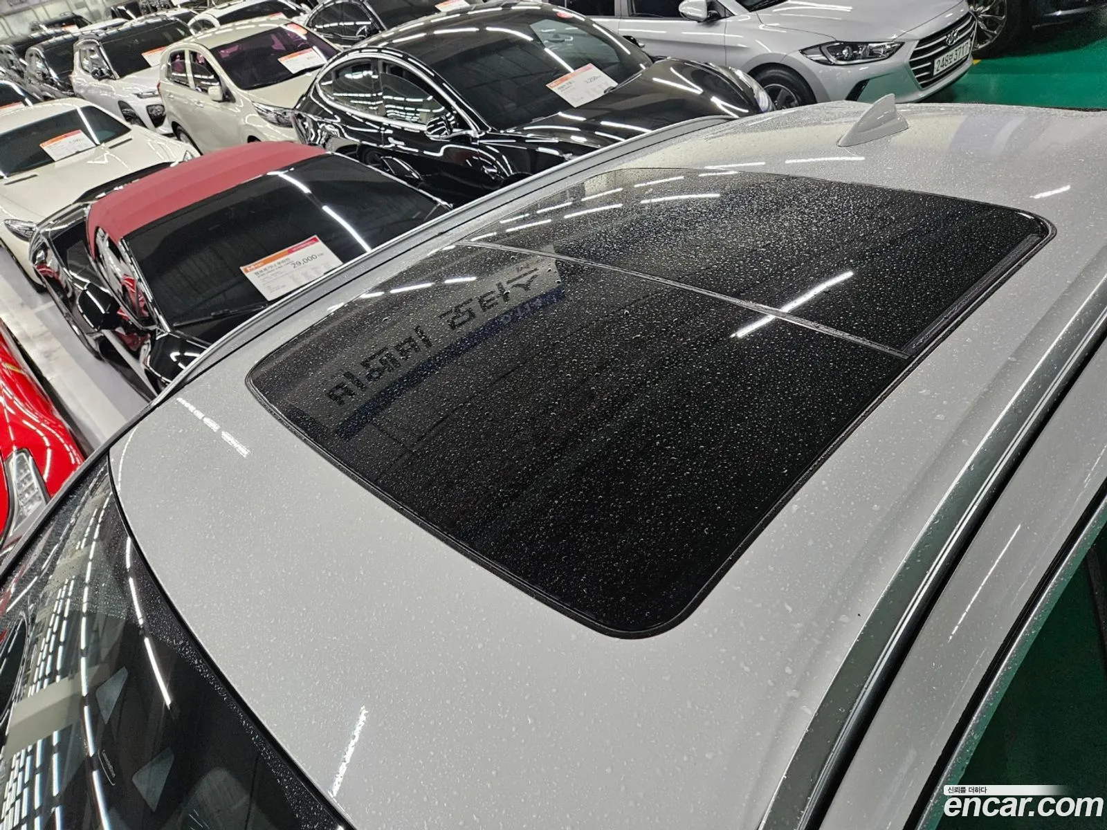 Korex Auto Trade - фотография 13683453