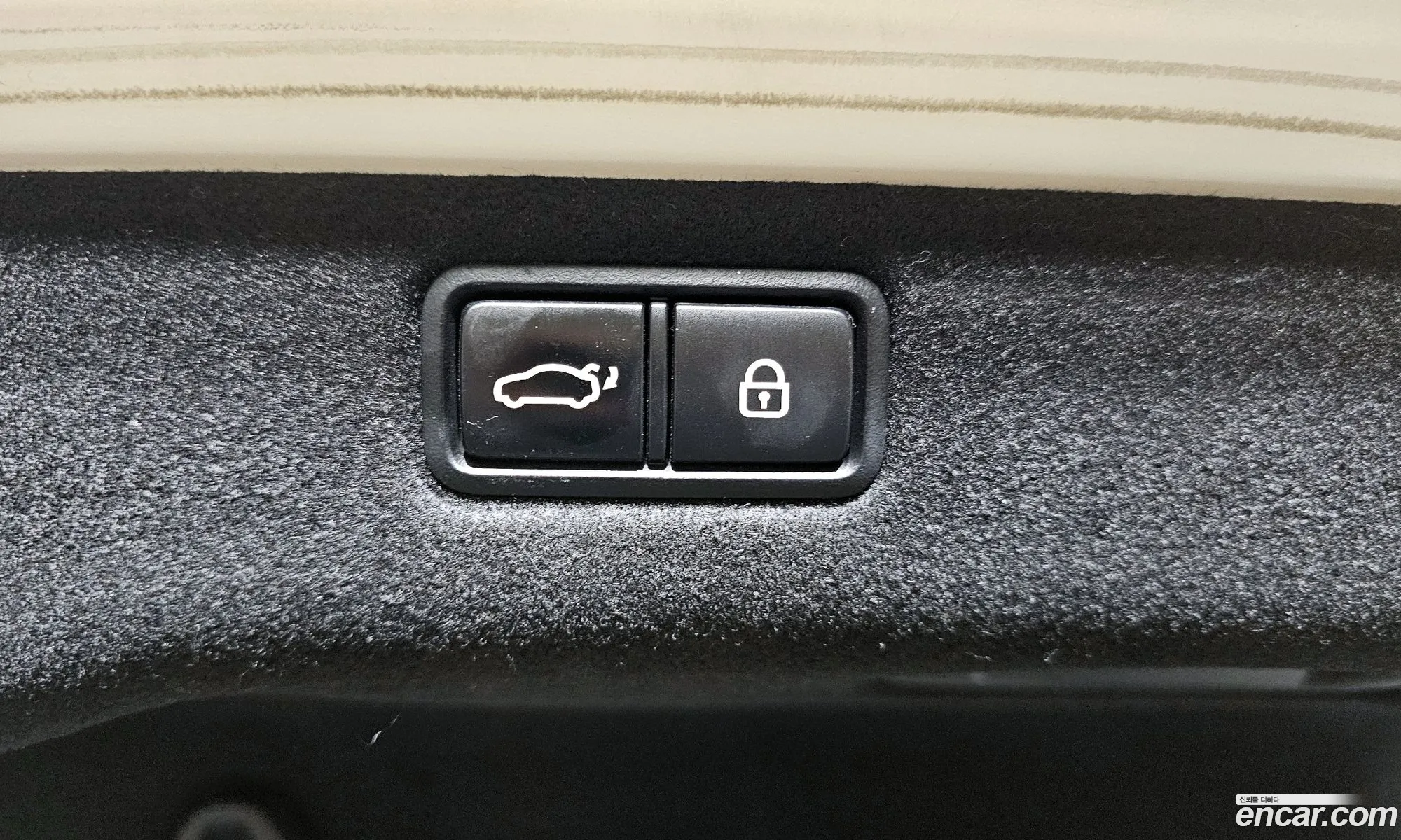 Korex Auto Trade - фотография 13122367