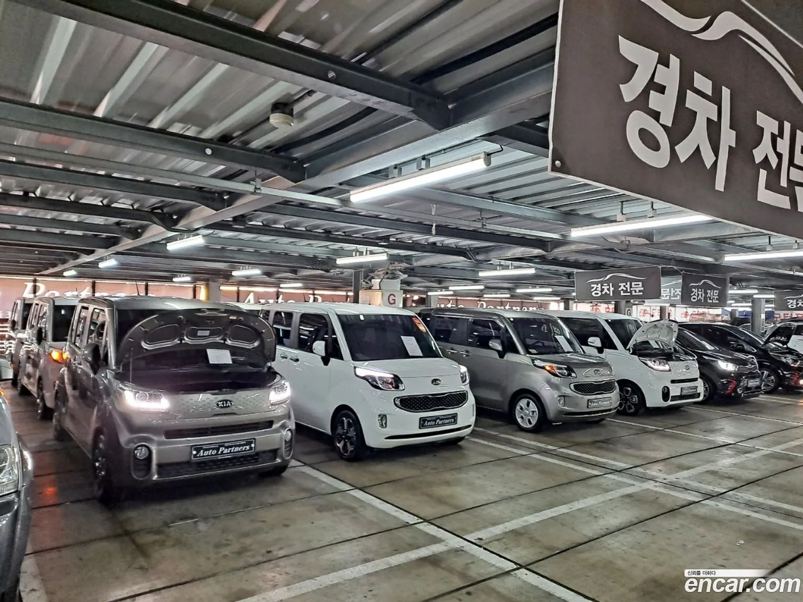 Korex Auto Trade - фотография 13035509