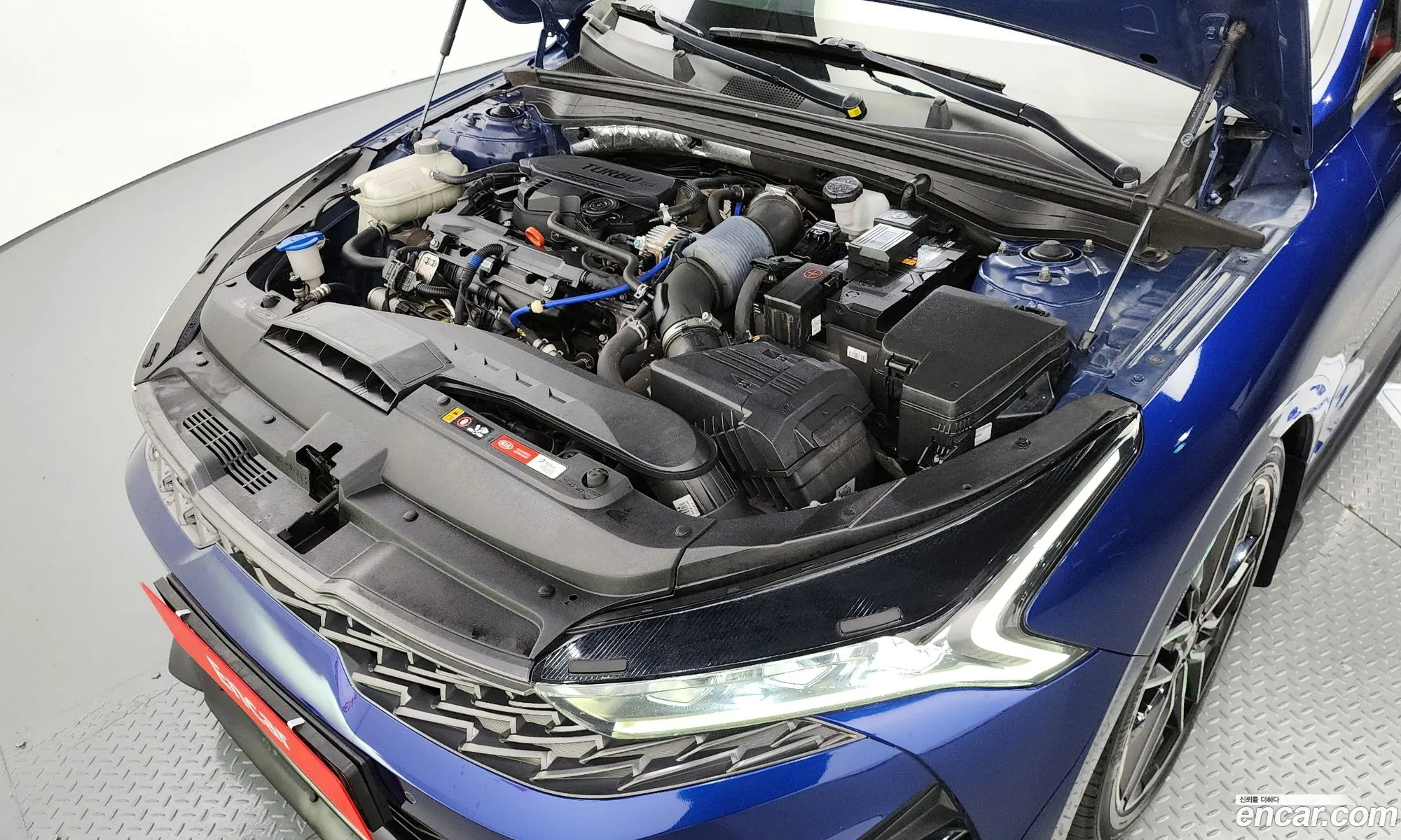 Kia K5 3Rd Generation 16 Turbo Signature - фотография 12922667