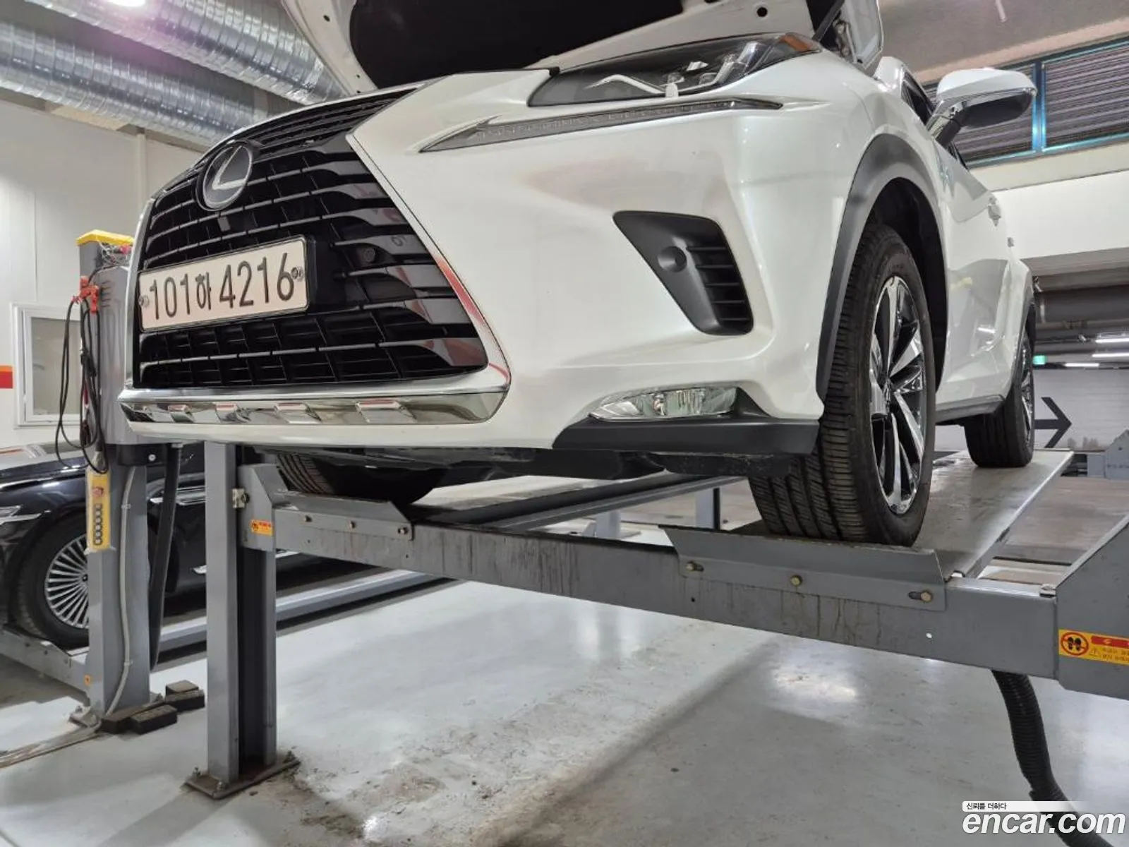 Lexus Nx300H Supreme - фотография 6390169