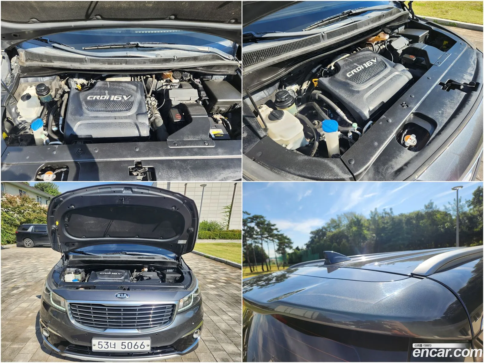 Korex Auto Trade - фотография 13410523