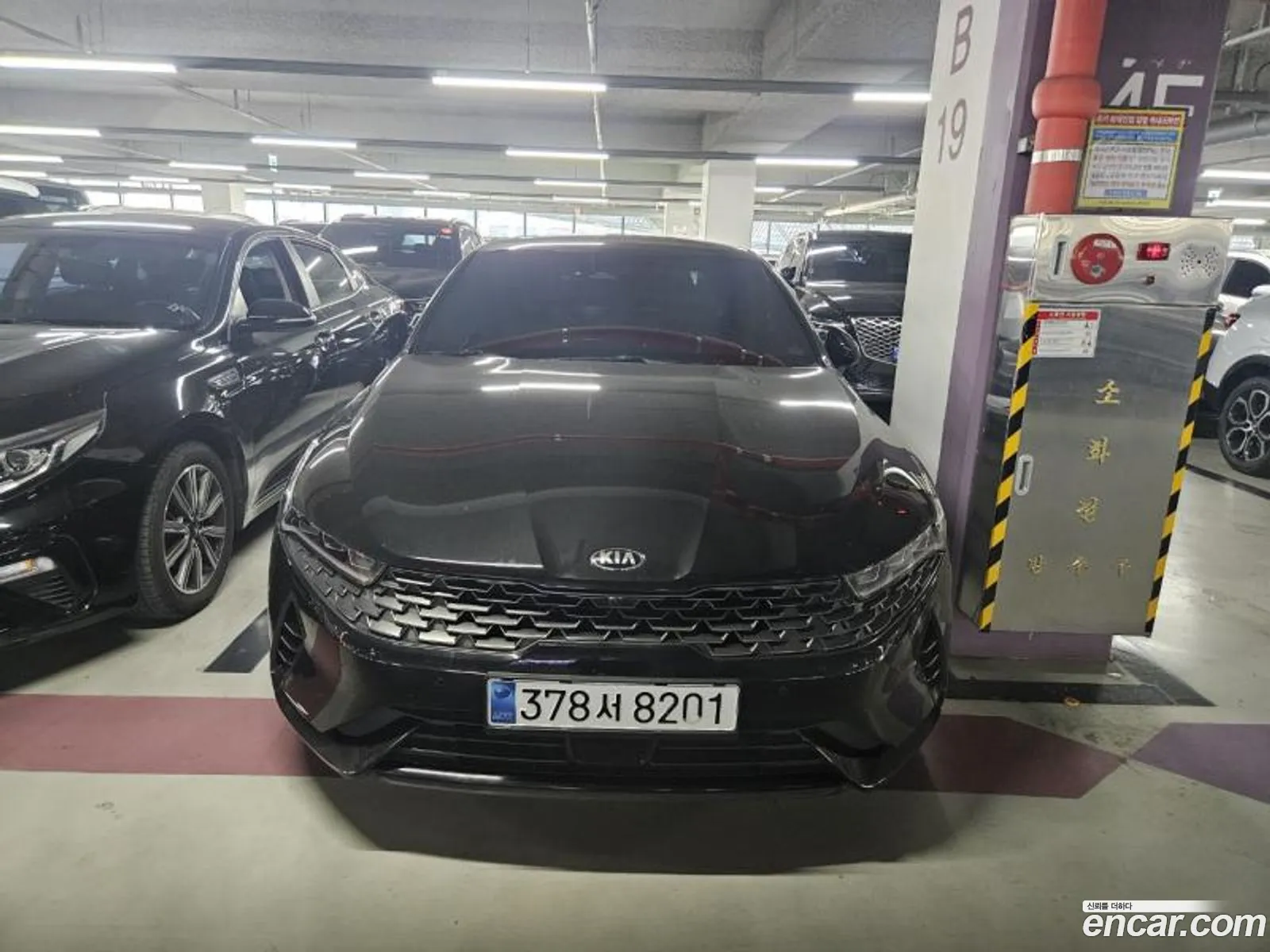 Kia K5 Hybrid 3Rd Generation Noblesse - фотография 13204740