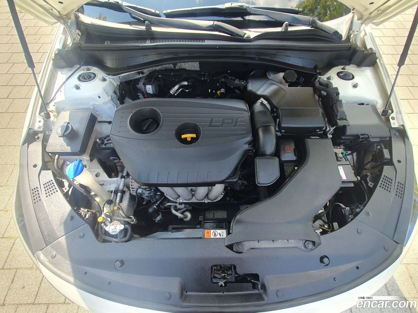 Kia K5 2Nd Generation Lpi Sx Luxury - фотография 12792241