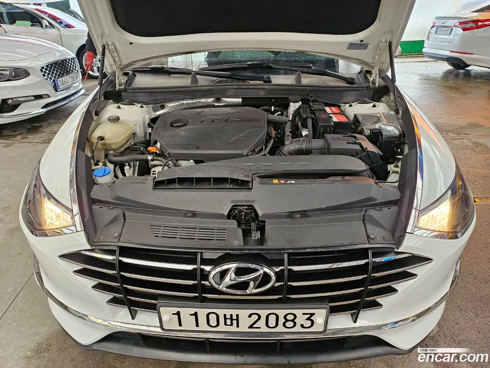 Sonata Dn8 20 Lpg For Rental Smart - фотография 11600244