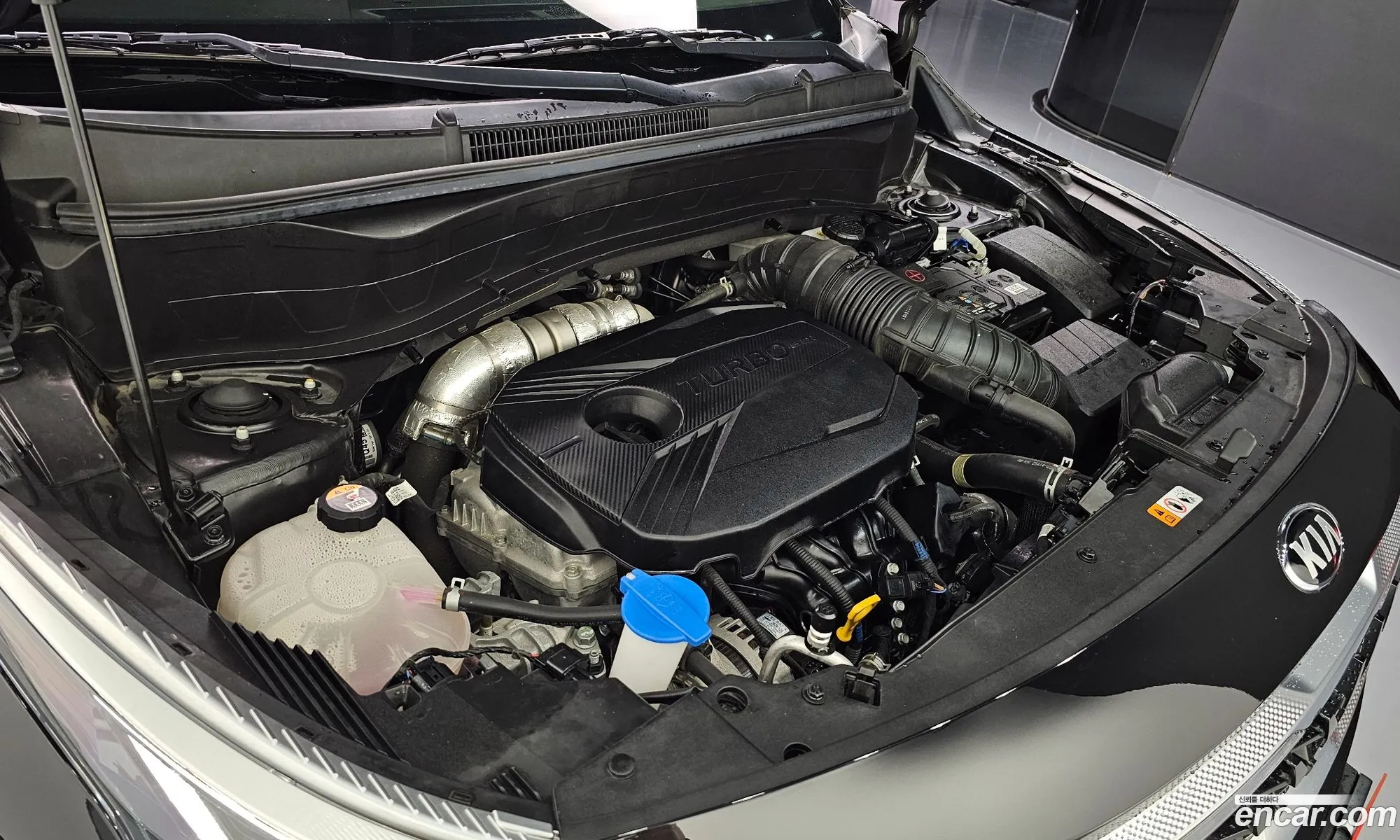 Kia Seltos Gasoline 16 Turbo 2Wd Signature - фотография 1131530