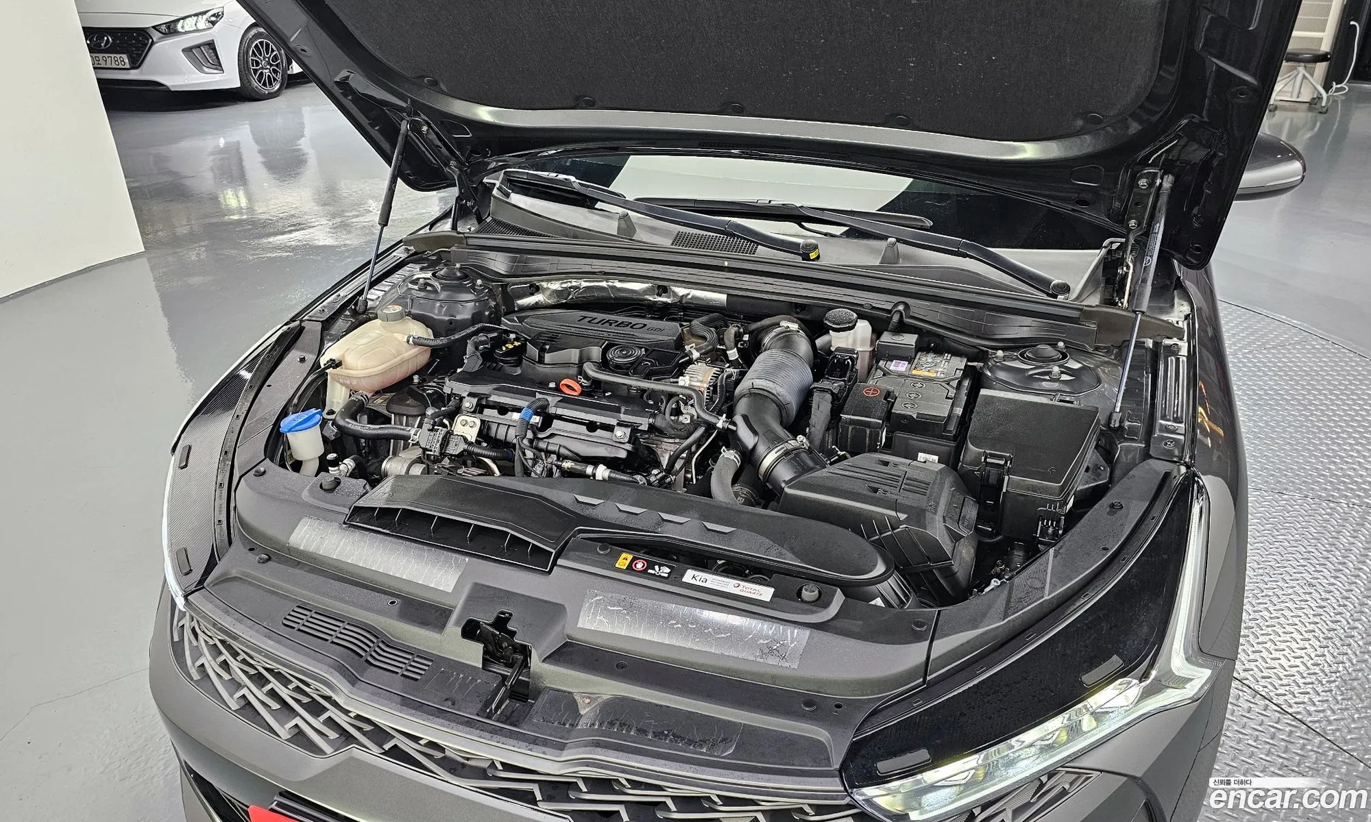 Kia K5 3Rd Generation 16 Turbo Prestige - фотография 1159988