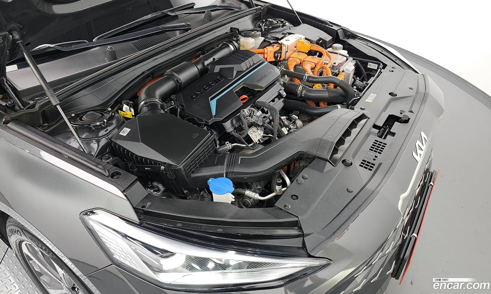 Kia K8 Hybrid Noblesse - фотография 1160001