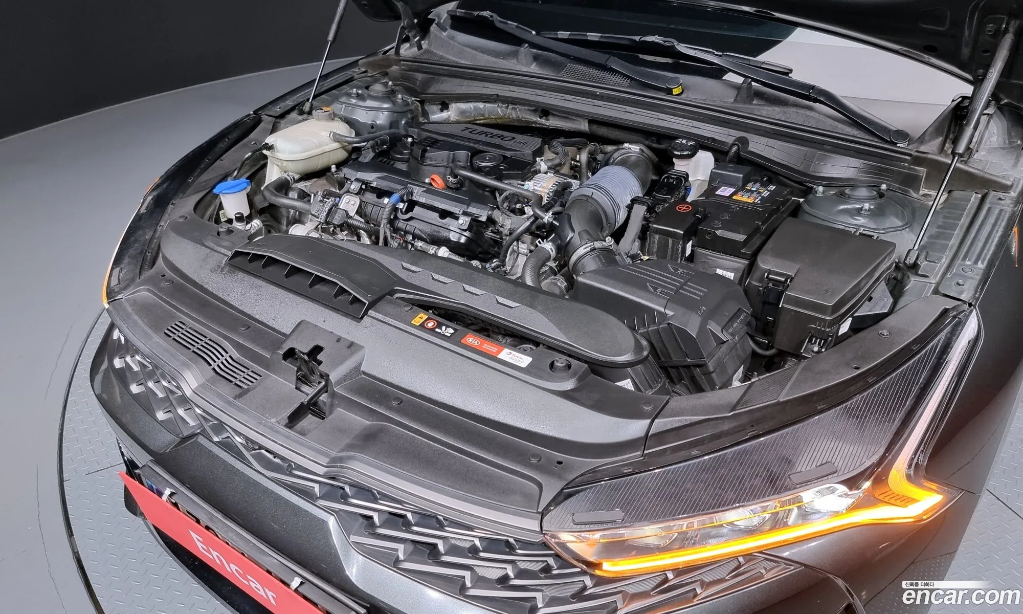 Korex Auto Trade - фотография 11254989