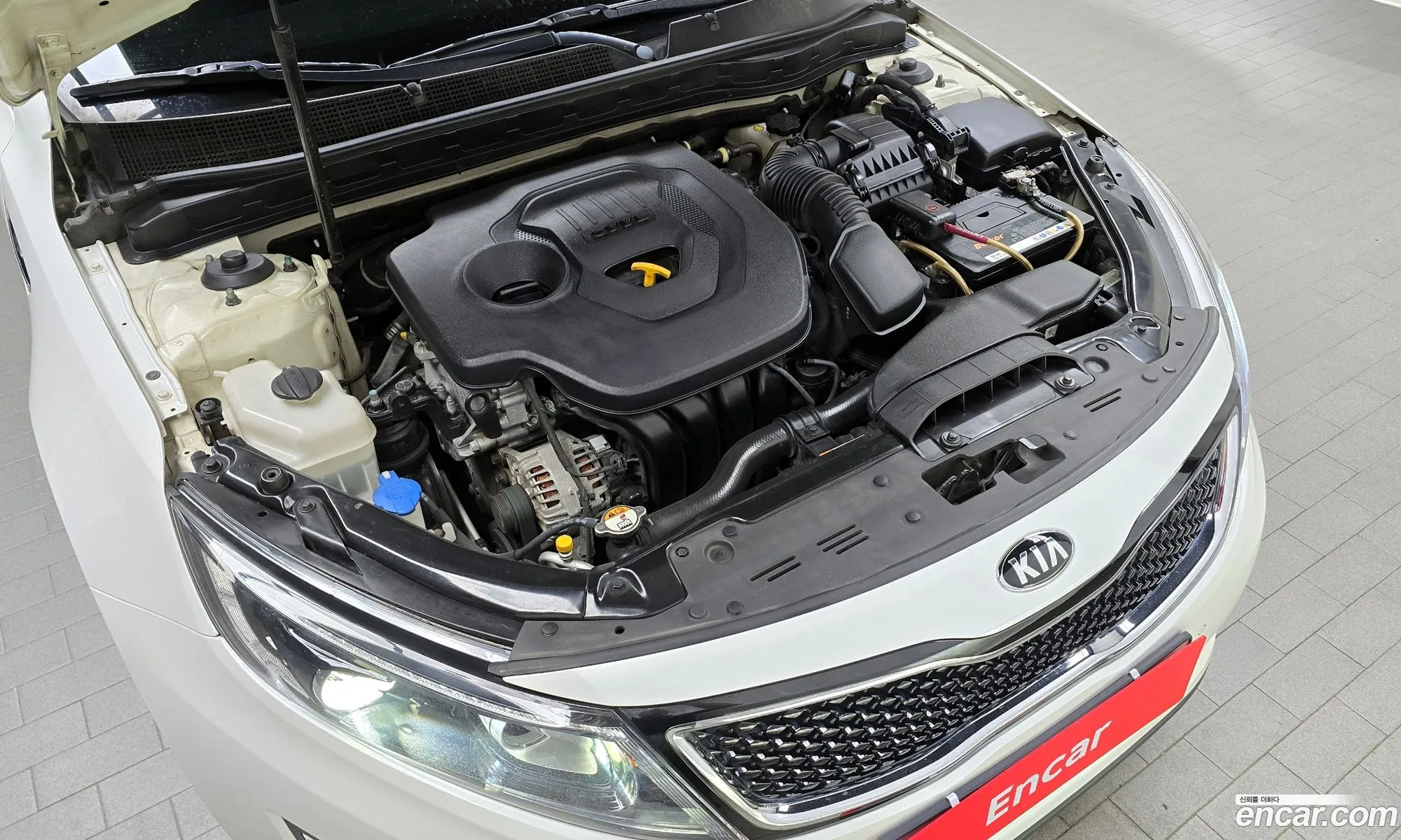 Kia The New K5 Noblesse - фотография 12402840