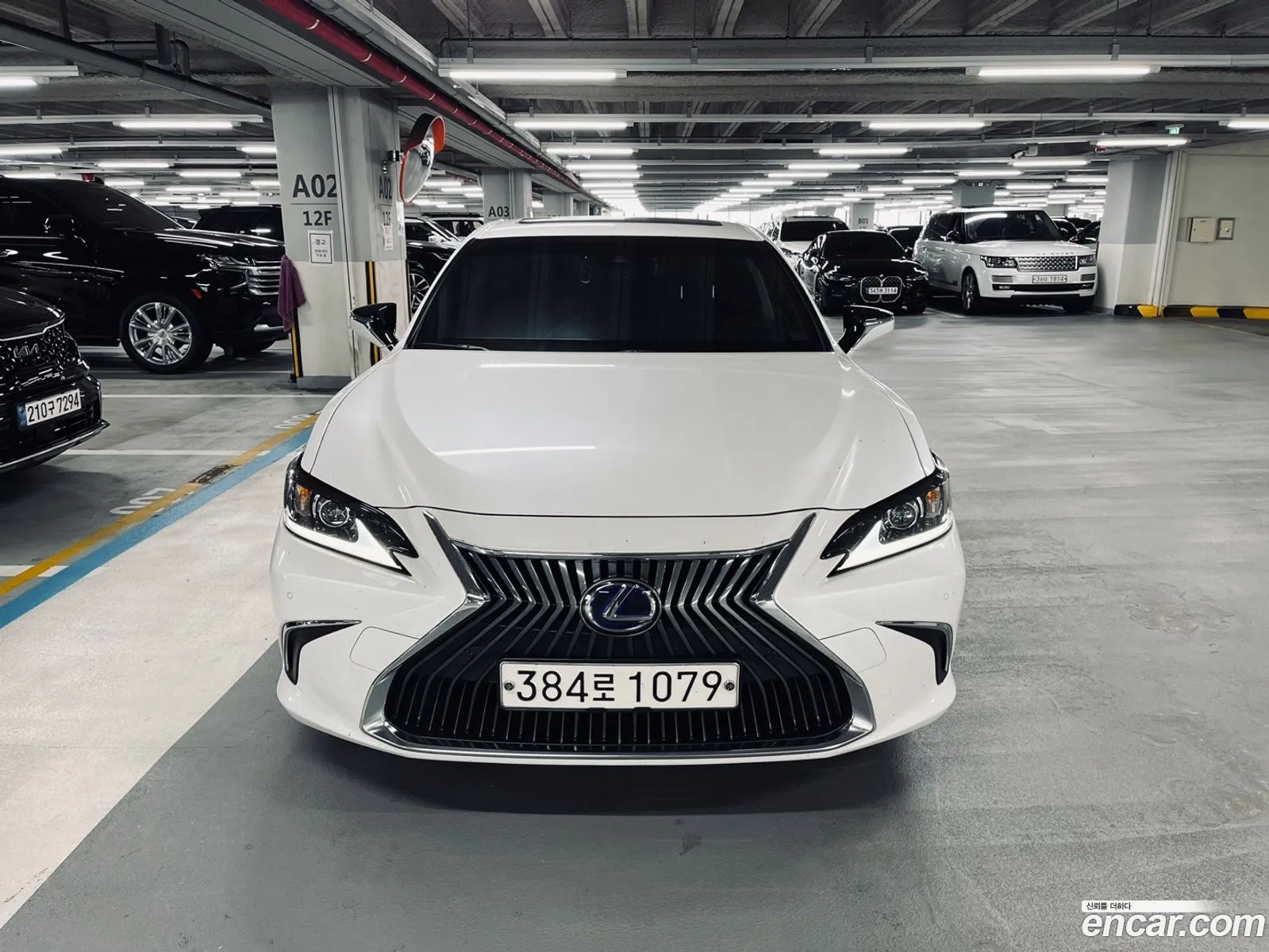 Lexus Es300H 7Th Generation Luxury Plus - фотография 6250759