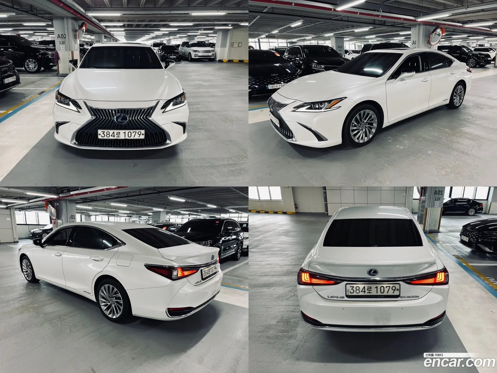 Lexus Es300H 7Th Generation Luxury Plus - фотография 6250761