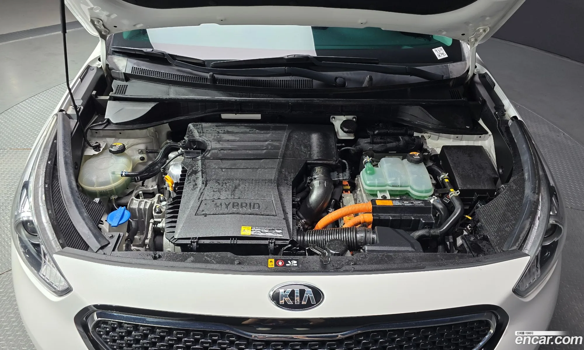 Kia Niro Prestige - фотография 12551279