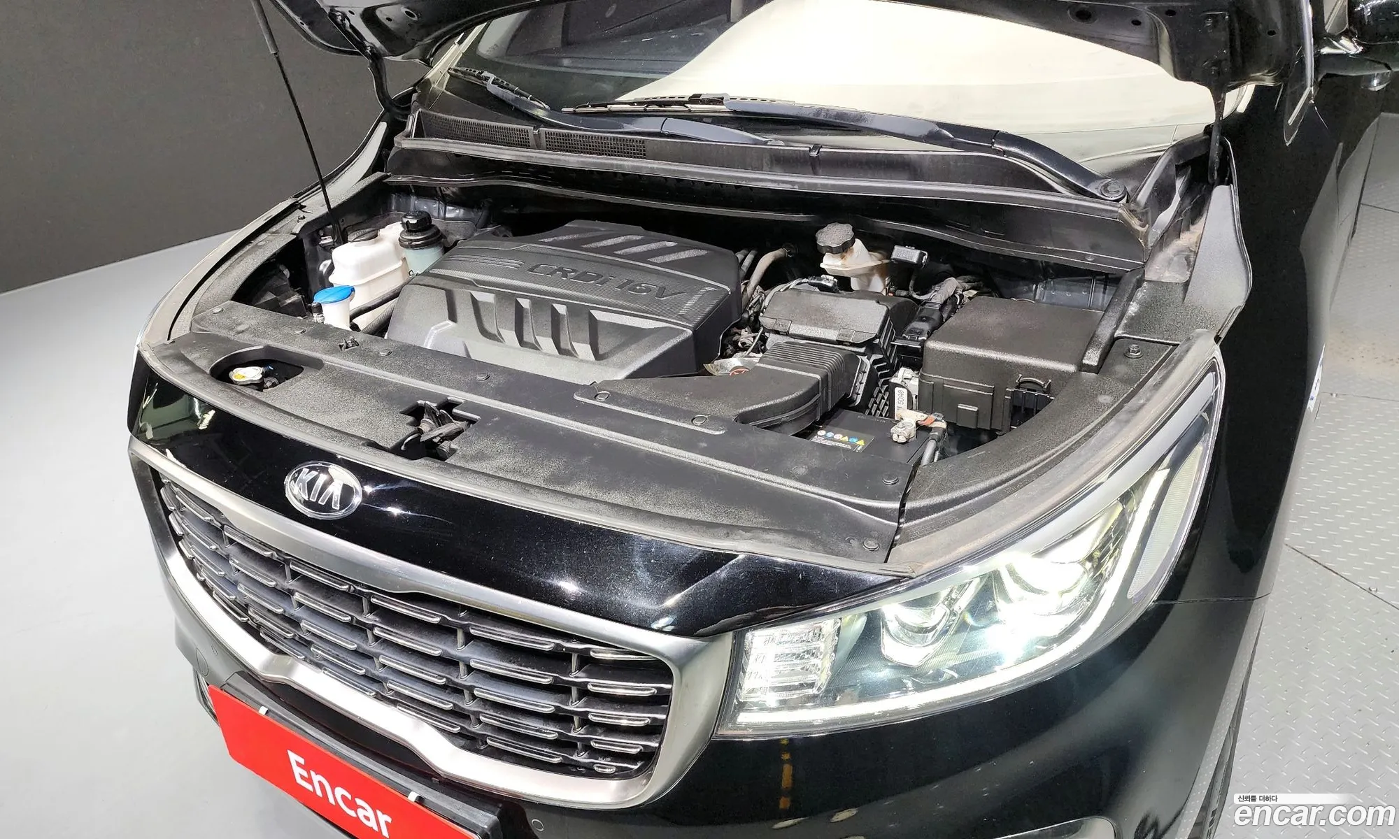 Kia The New Carnival 9-Seater Prestige - фотография 1235241