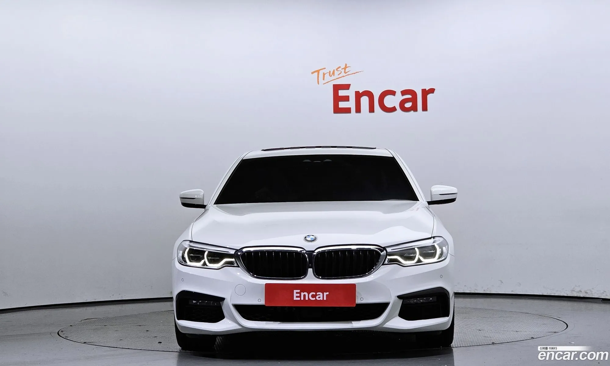 BMW 5 Series G30 520D xDrive M Sport Plus - фотография 14125555