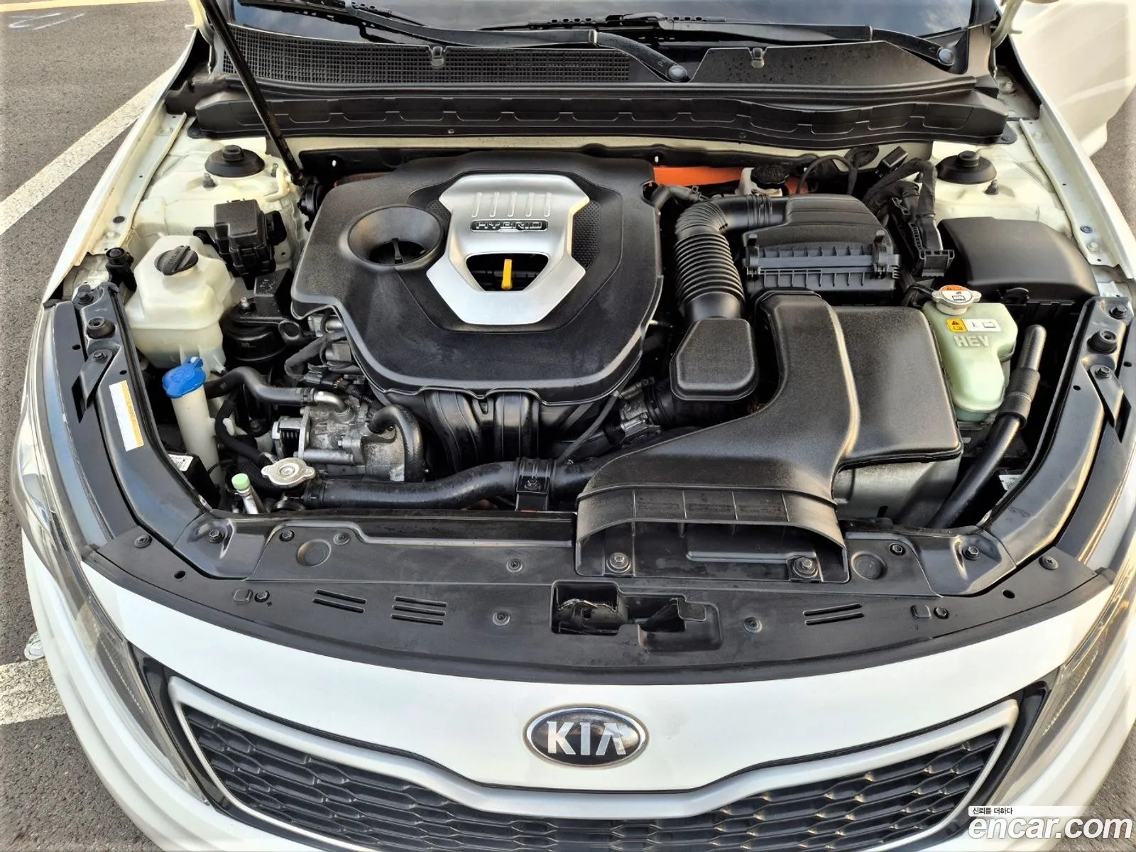 Kia K5 Hybrid Deluxe - фотография 12516641
