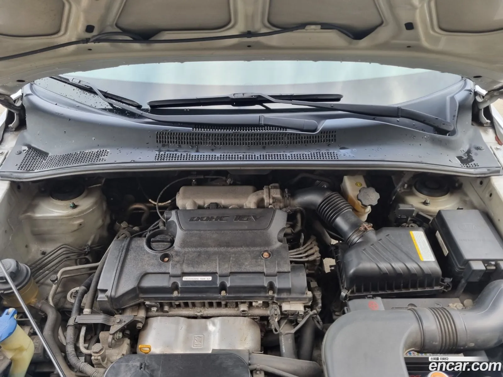 Kia New Sportage Gasoline 2Wd Tlx Top-Of-The-Line Model - фотография 12502566