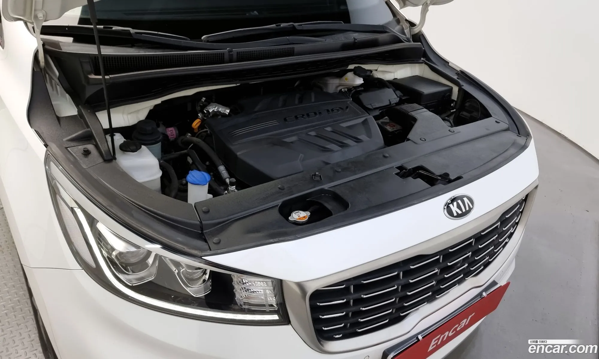 Kia The New Carnival 7-Seater Limousine Vip - фотография 1284048