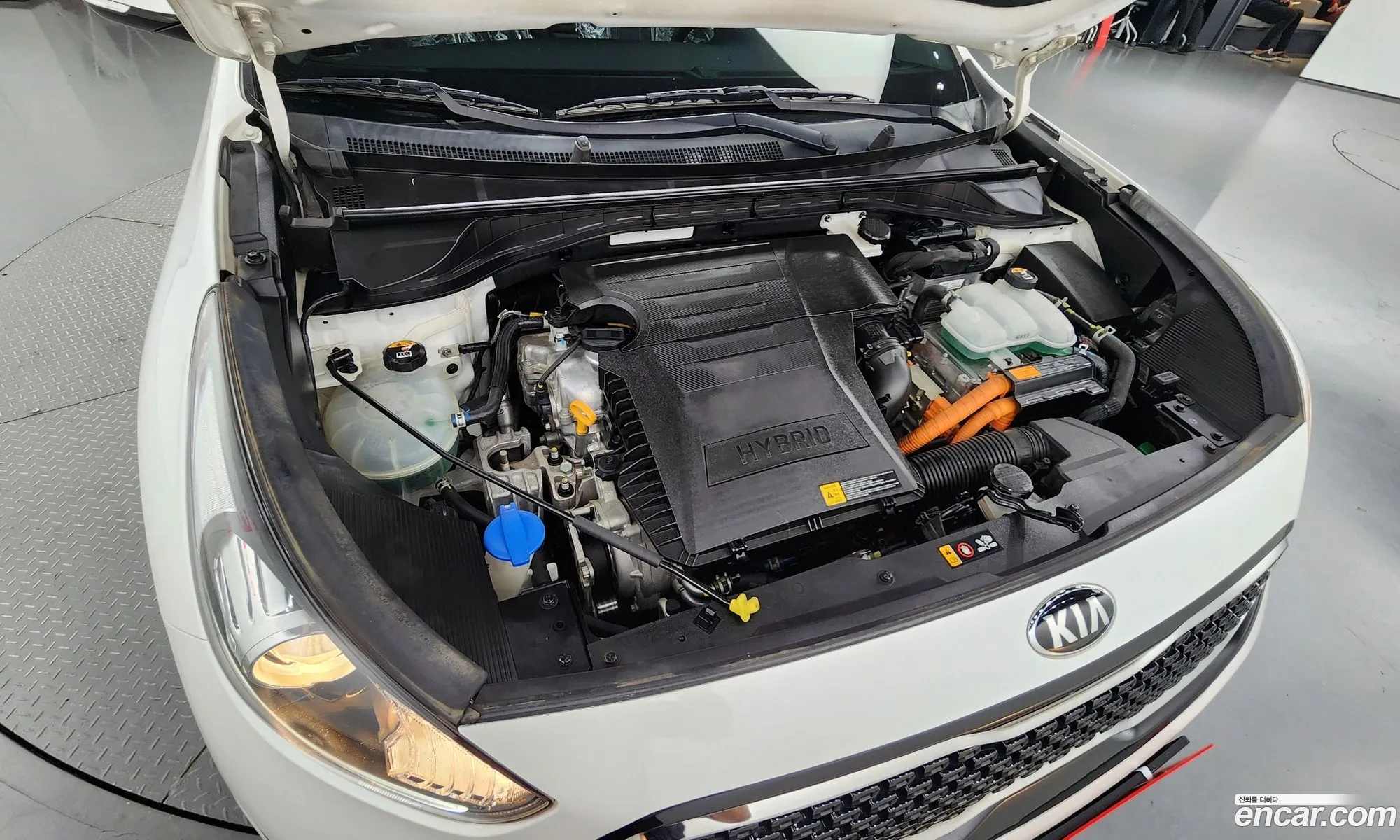 Kia Niro Prestige - фотография 12502553
