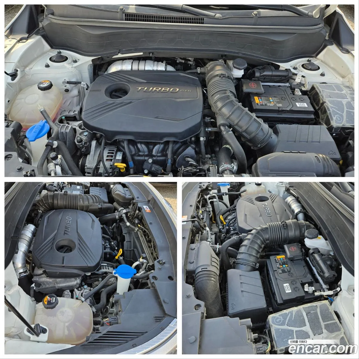 Korex Auto Trade - фотография 12512741