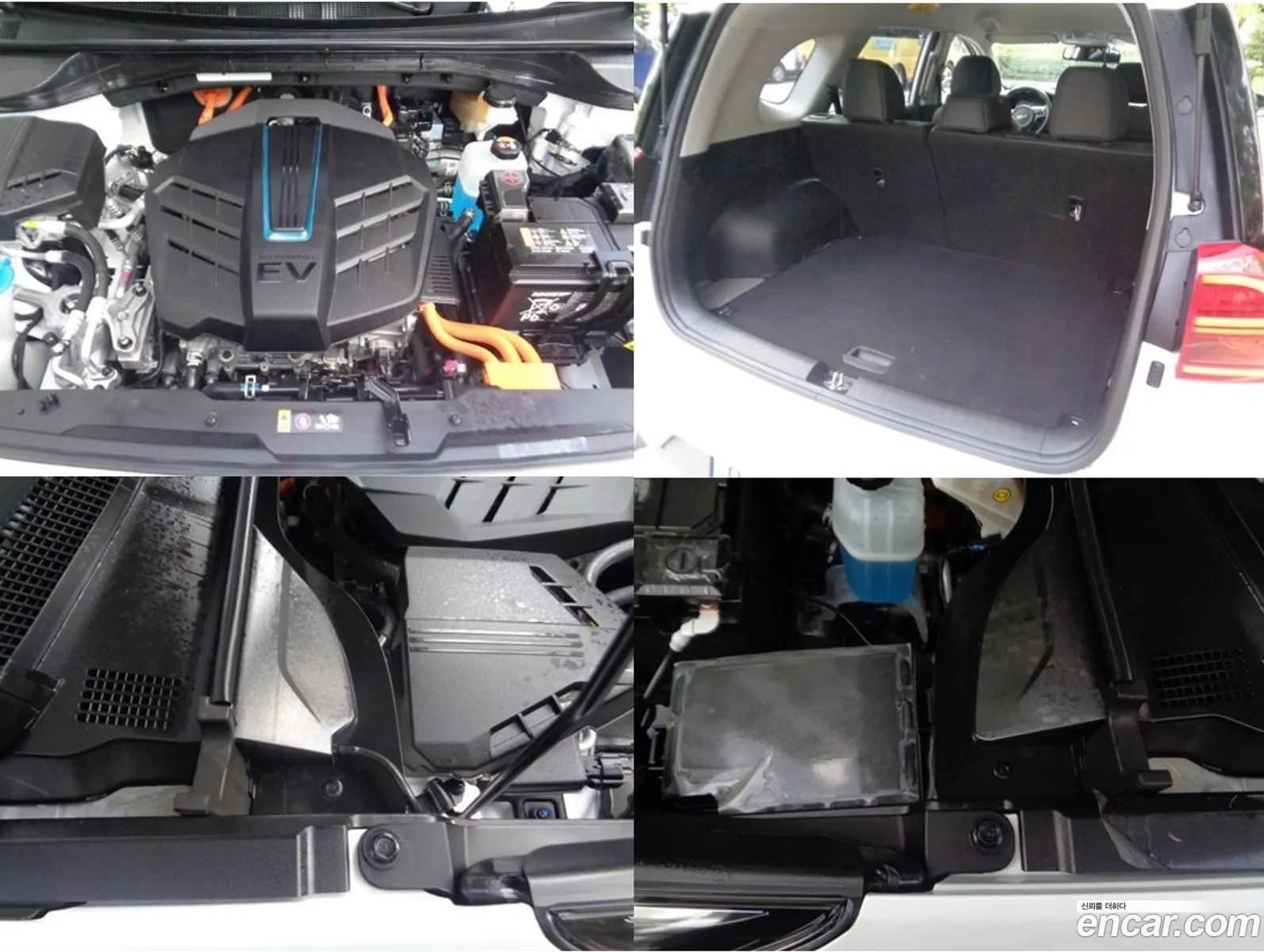 Korex Auto Trade - фотография 12542660