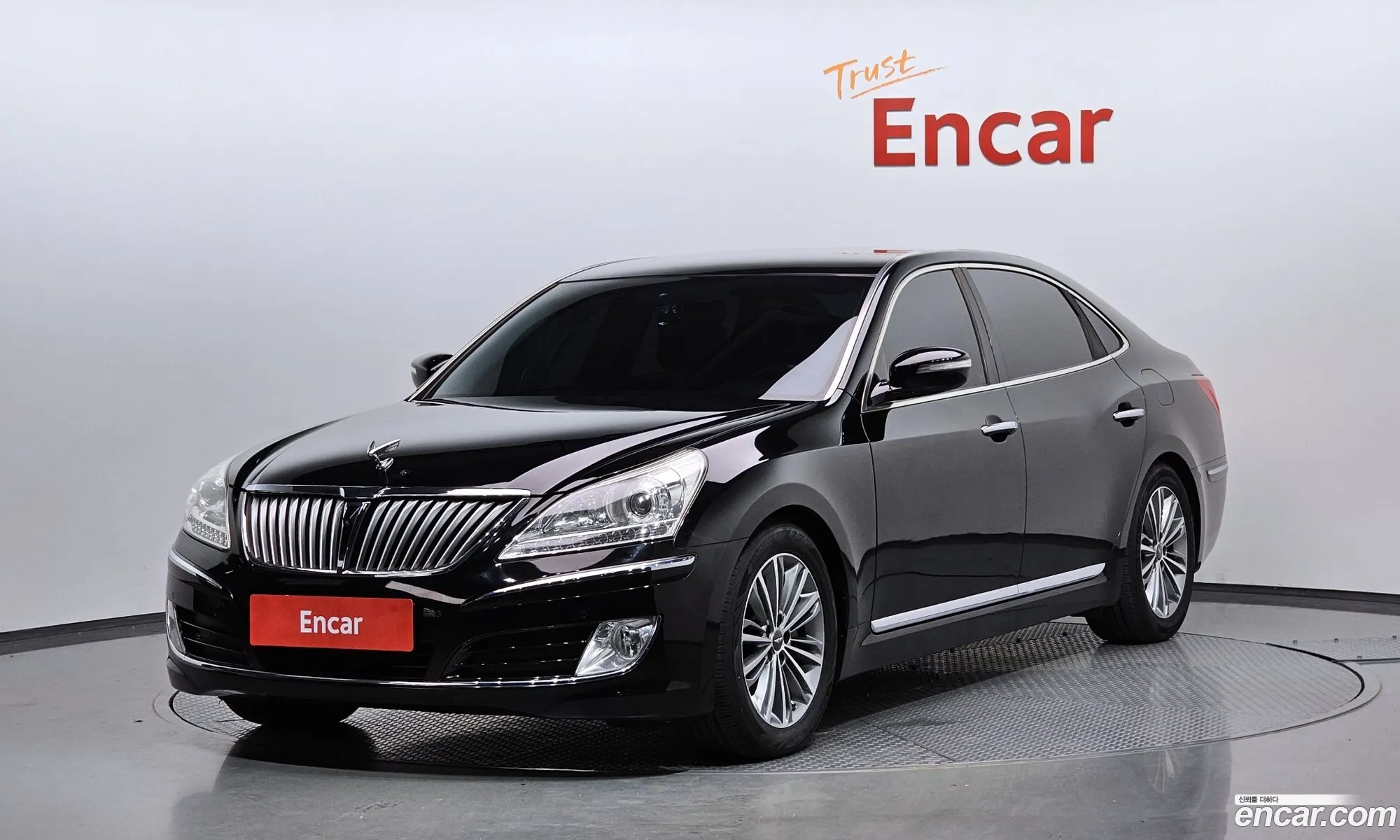 Equus New Model 38 Structural Change Bi-Fuel - фотография 5016716