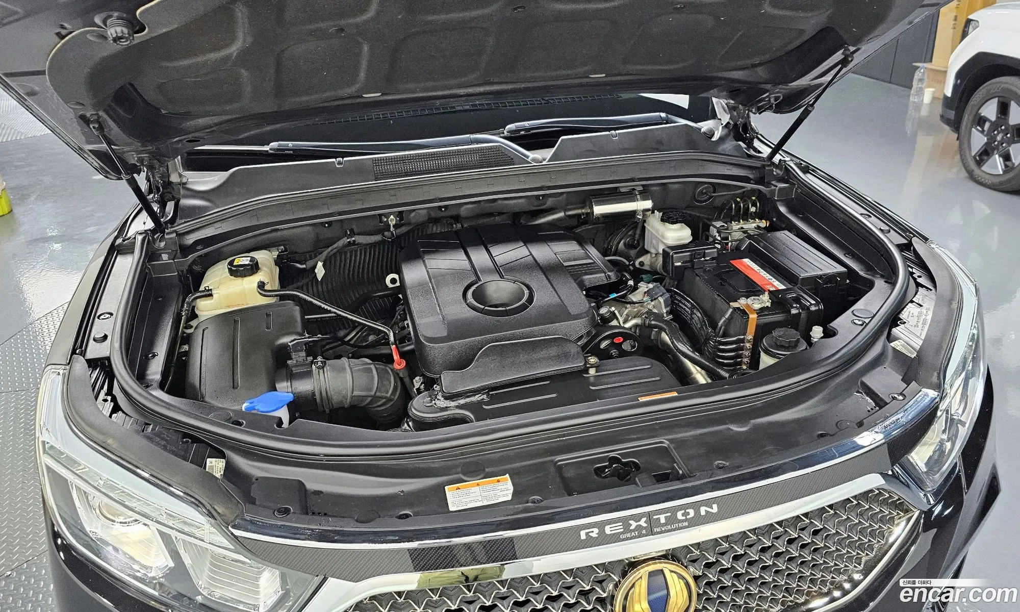Kg Mobility Ssangyong G4 Rexton Diesel 22 4Wd Eurasia Edition - фотография 7399880