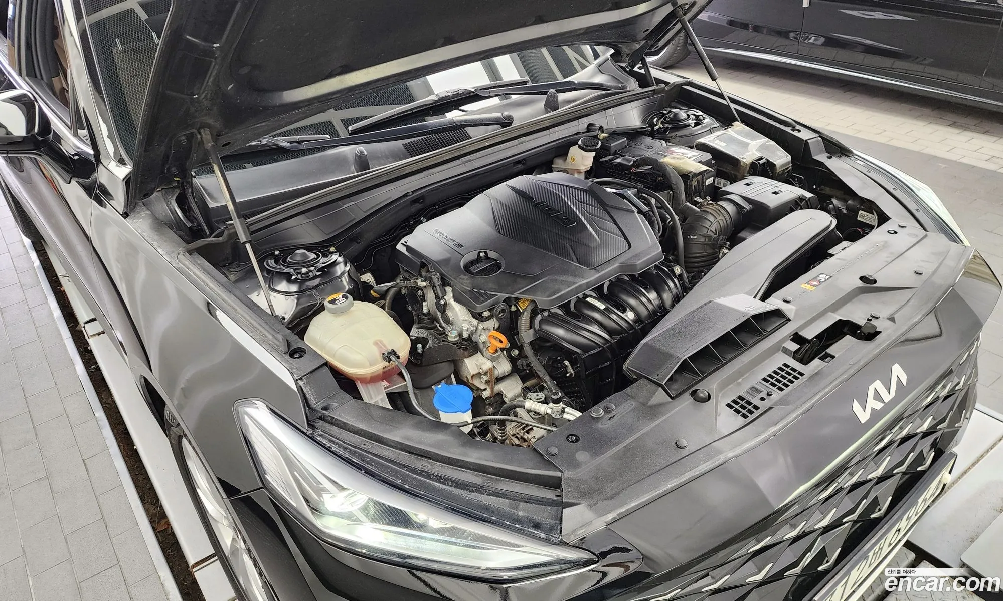 Kia K8 25 Gasoline 2Wd Noblesse - фотография 12481591