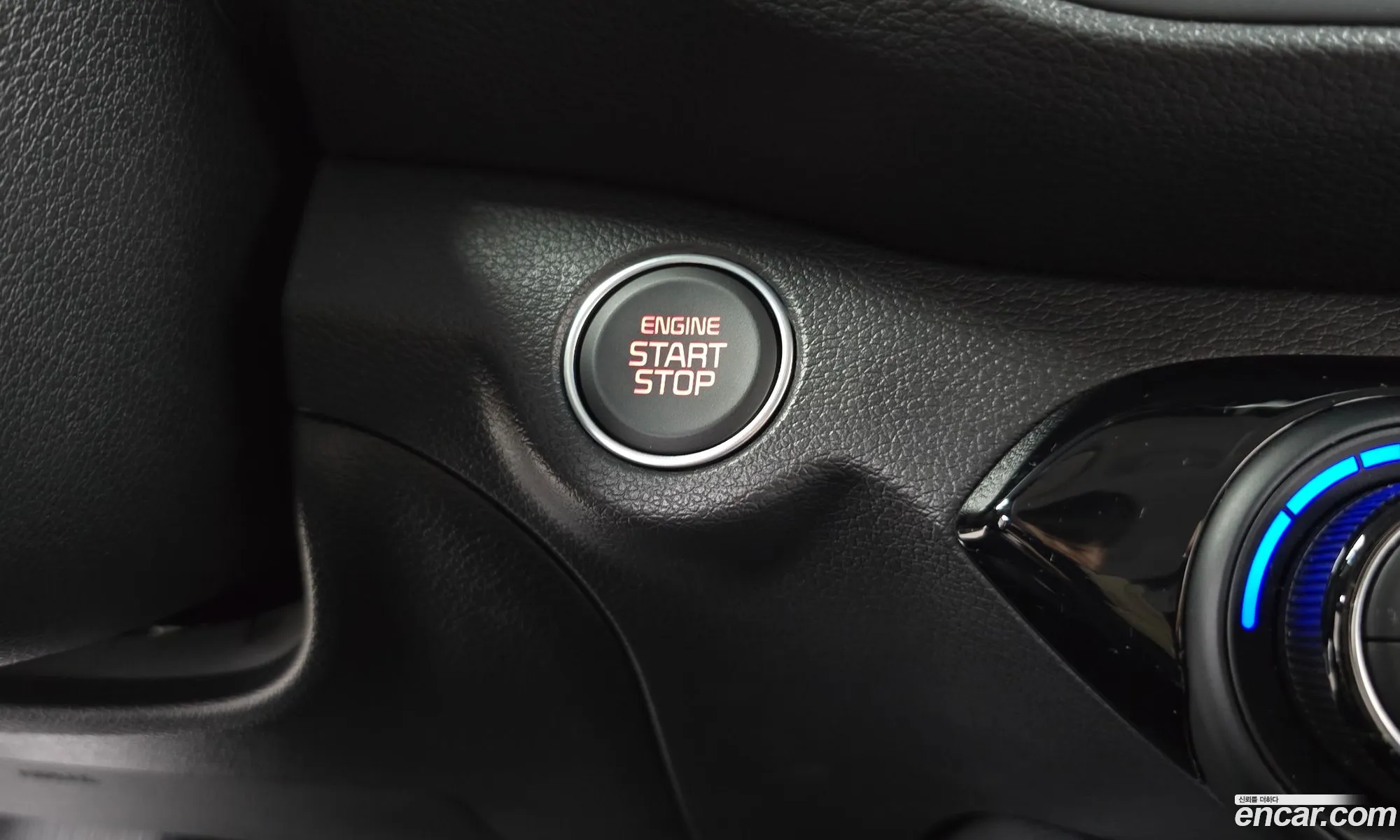 Korex Auto Trade - фотография 12459881