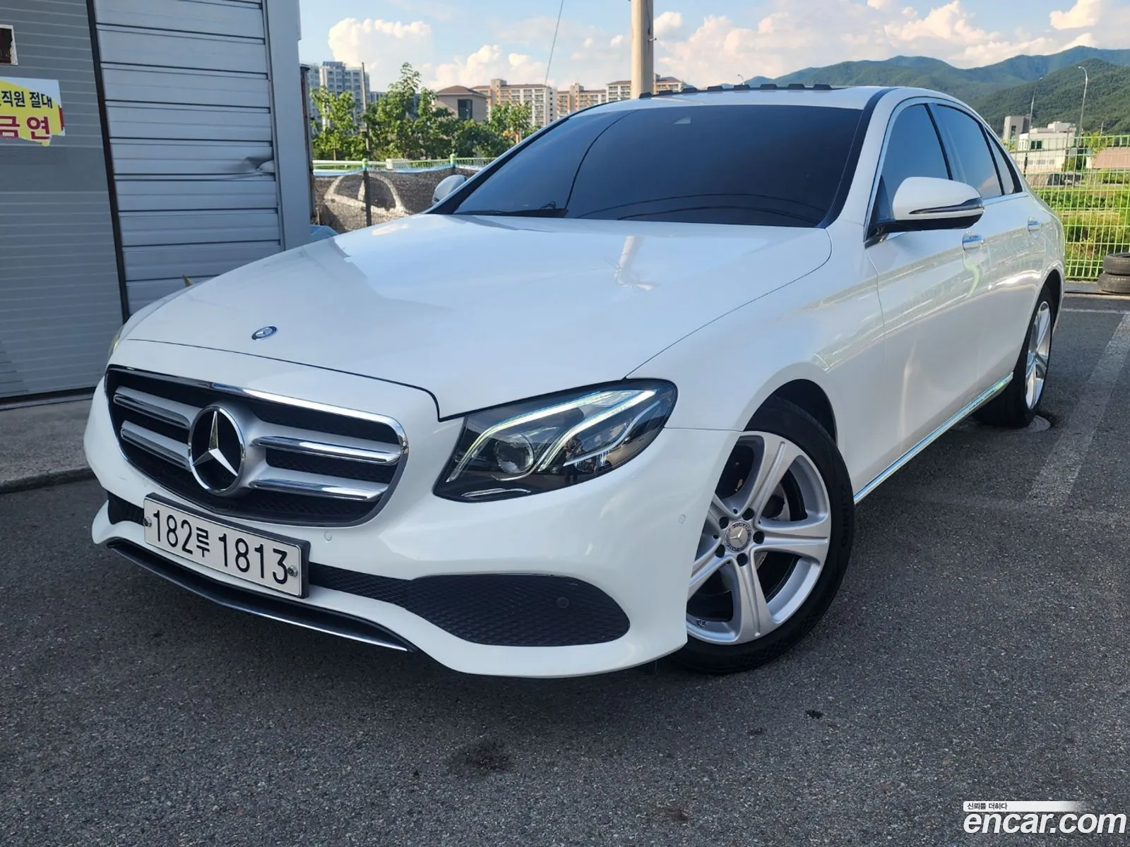 E-Class W213 E220D Avant-Garde - фотография 12337290