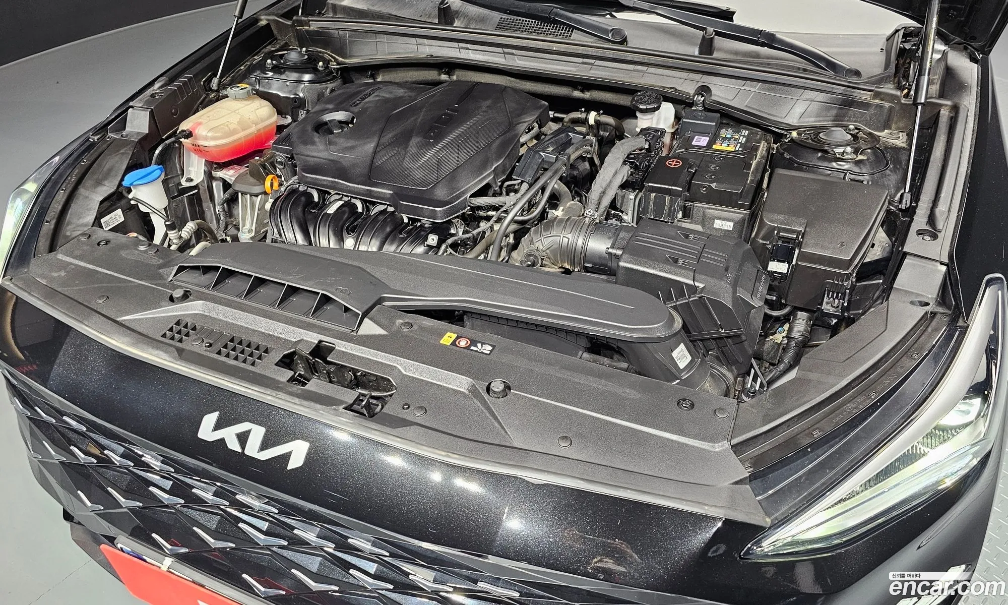 Kia K8 25 Gasoline 2Wd Signature - фотография 16941398