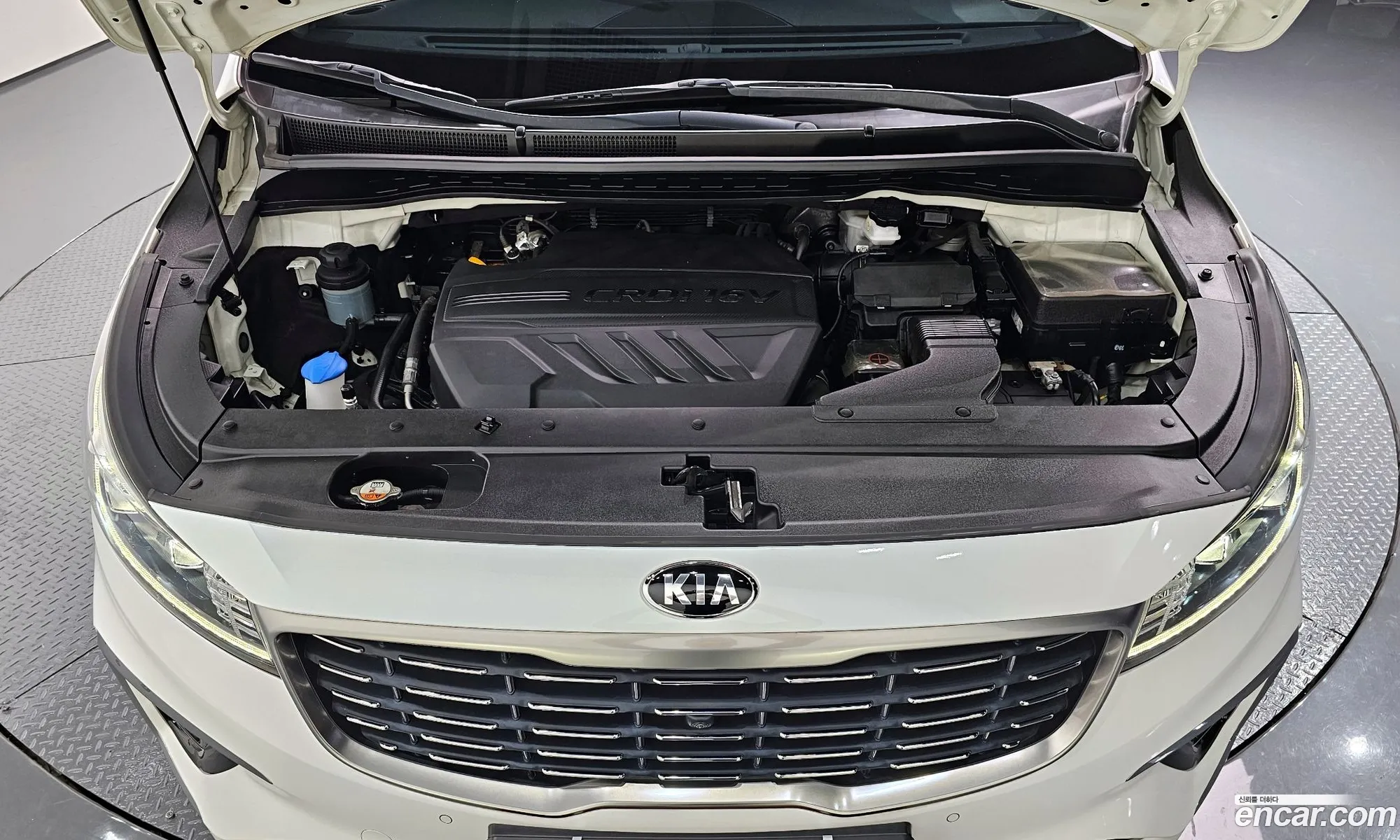 Kia The New Carnival 9-Seater Noblesse Special - фотография 1420311