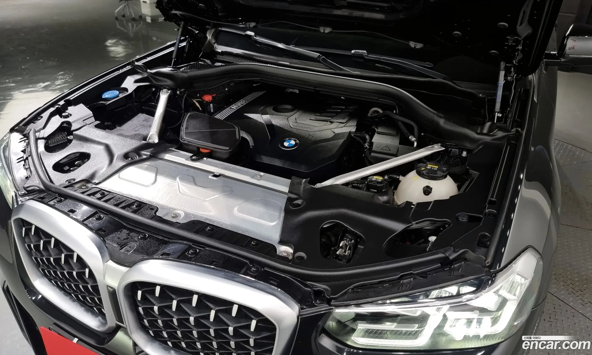 BMW X4 G02 xDrive20I M Sports - фотография 14345546