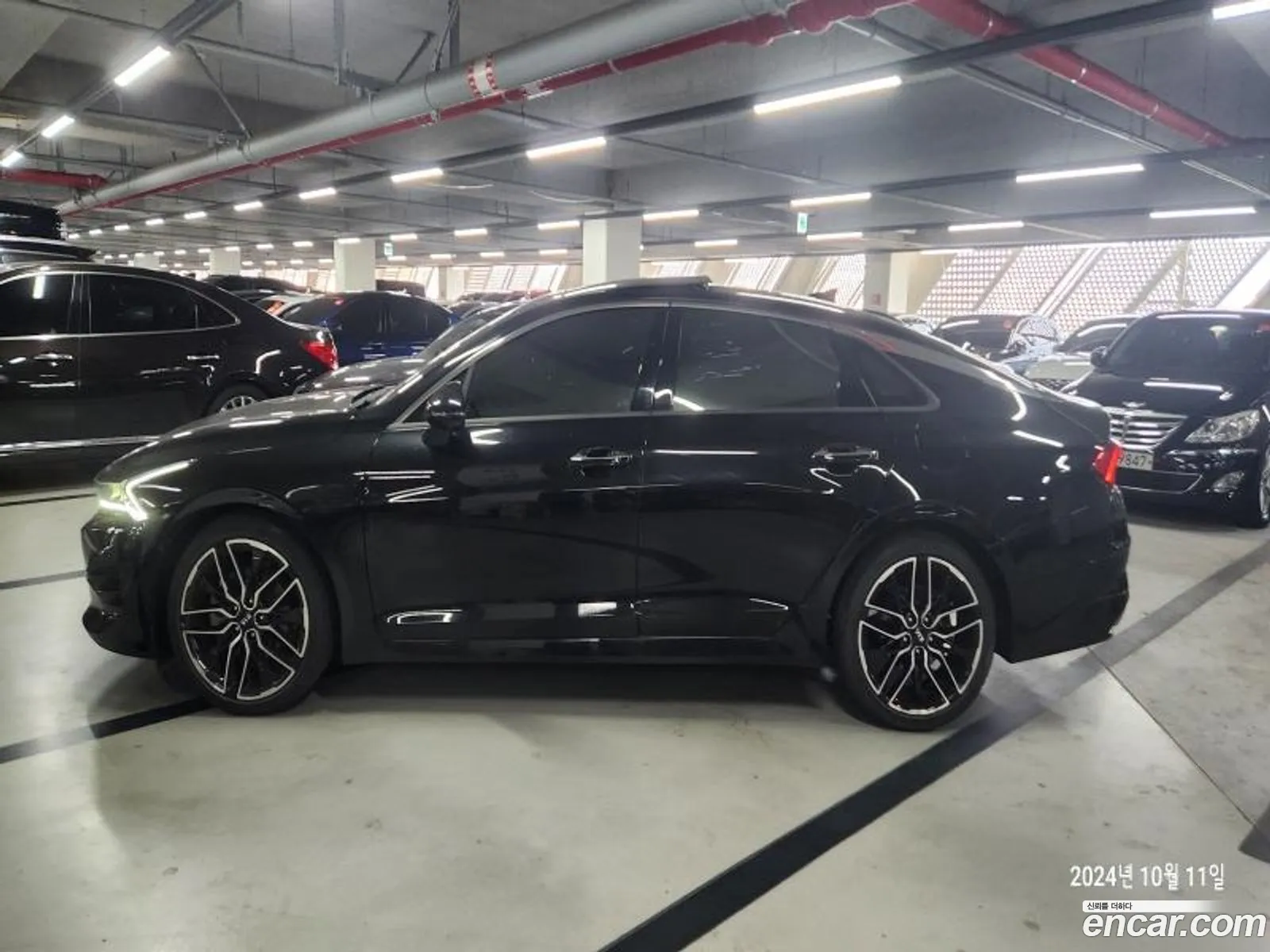 Kia K5 3Rd Generation 16 Turbo Noblesse - фотография 17545197