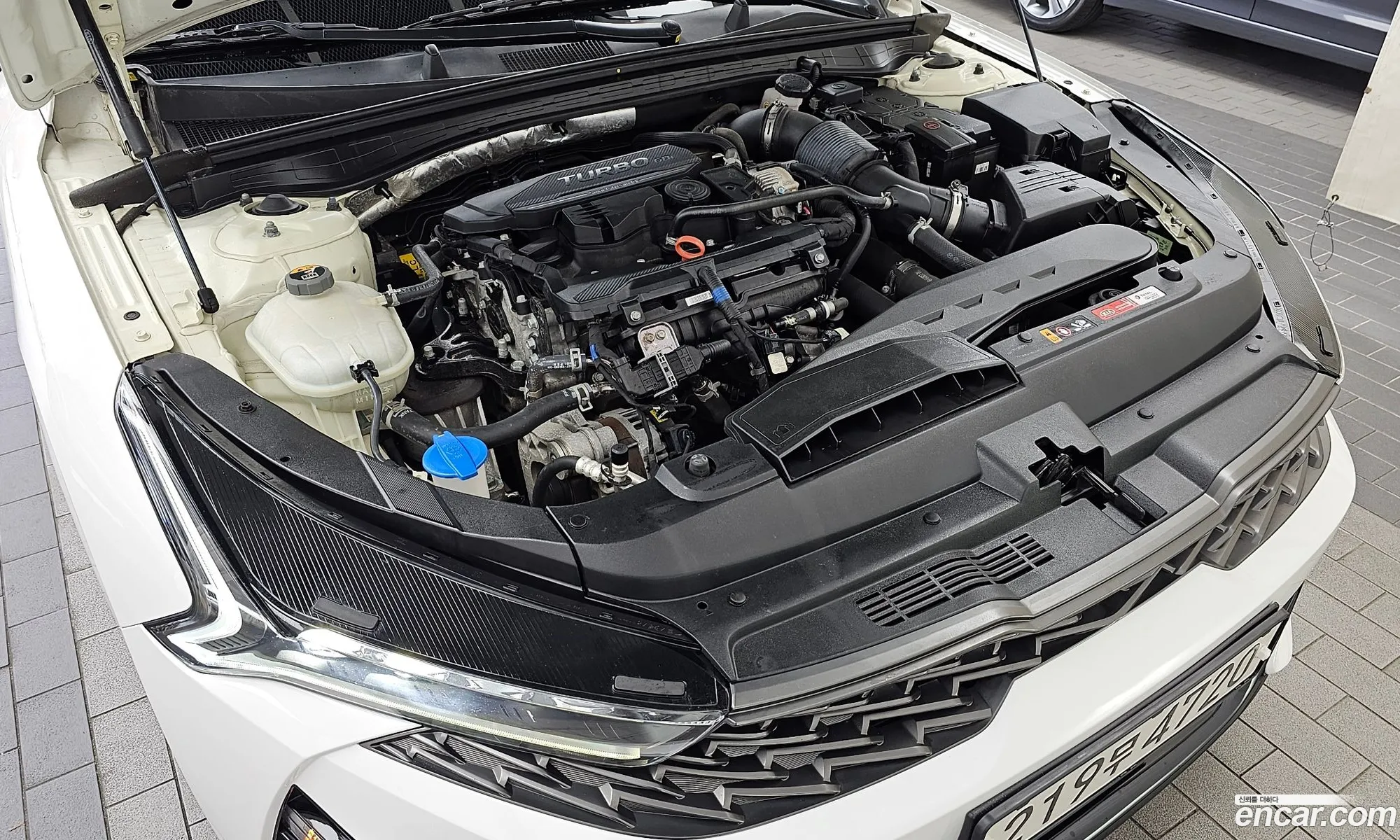 Kia K5 3Rd Generation 16 Turbo Trendy - фотография 12503403