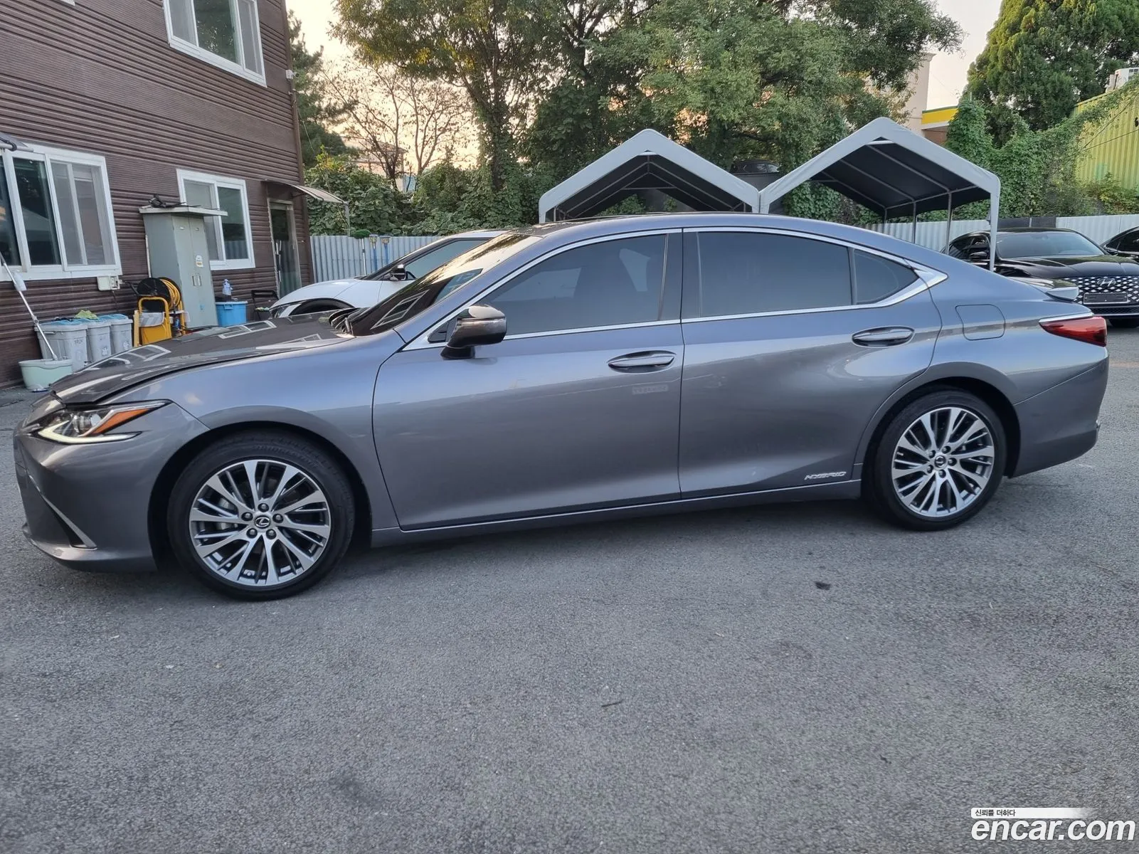 Lexus Es300H 7Th Generation Luxury - фотография 6348728