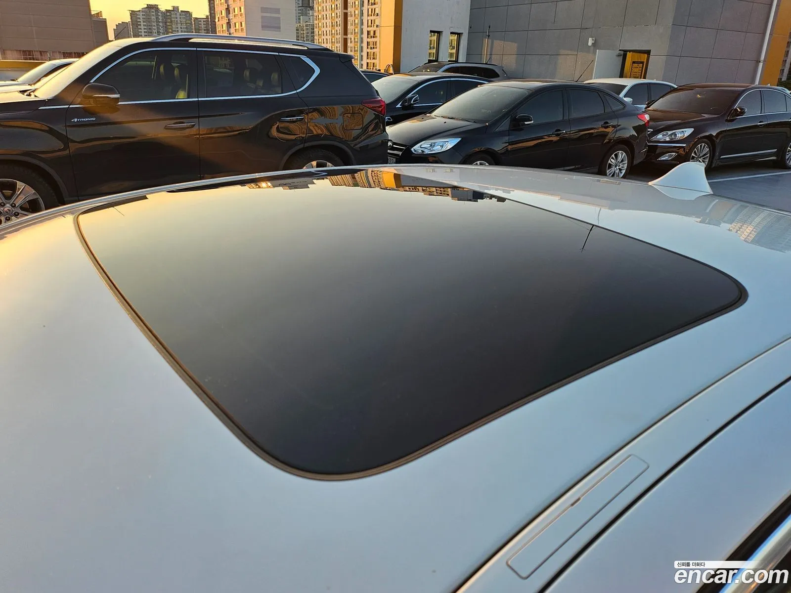 Korex Auto Trade - фотография 15280683