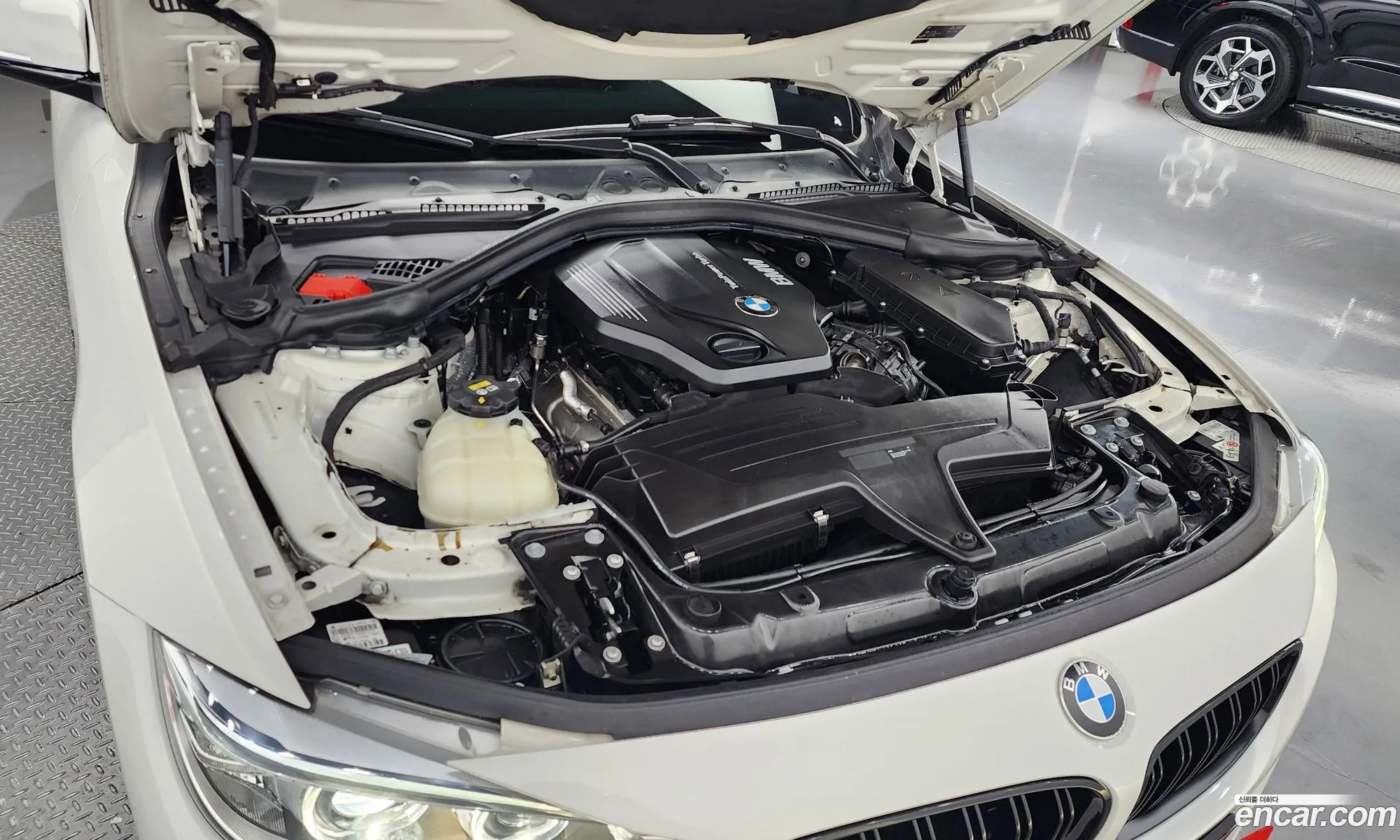 BMW 4 Series F32 420D xDrive M Sports Coupe - фотография 14723632