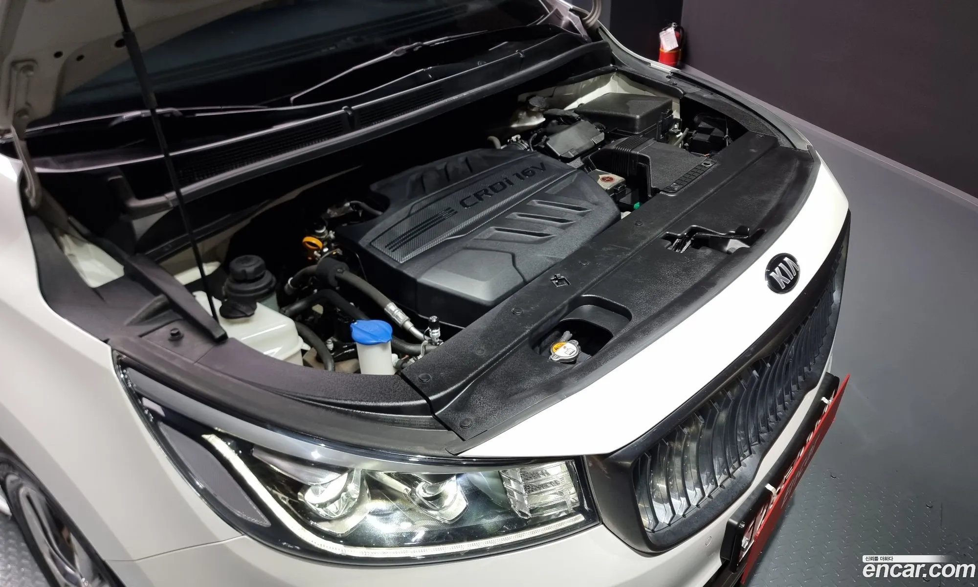 Kia The New Carnival 9-Seater Noblesse Special - фотография 16941422