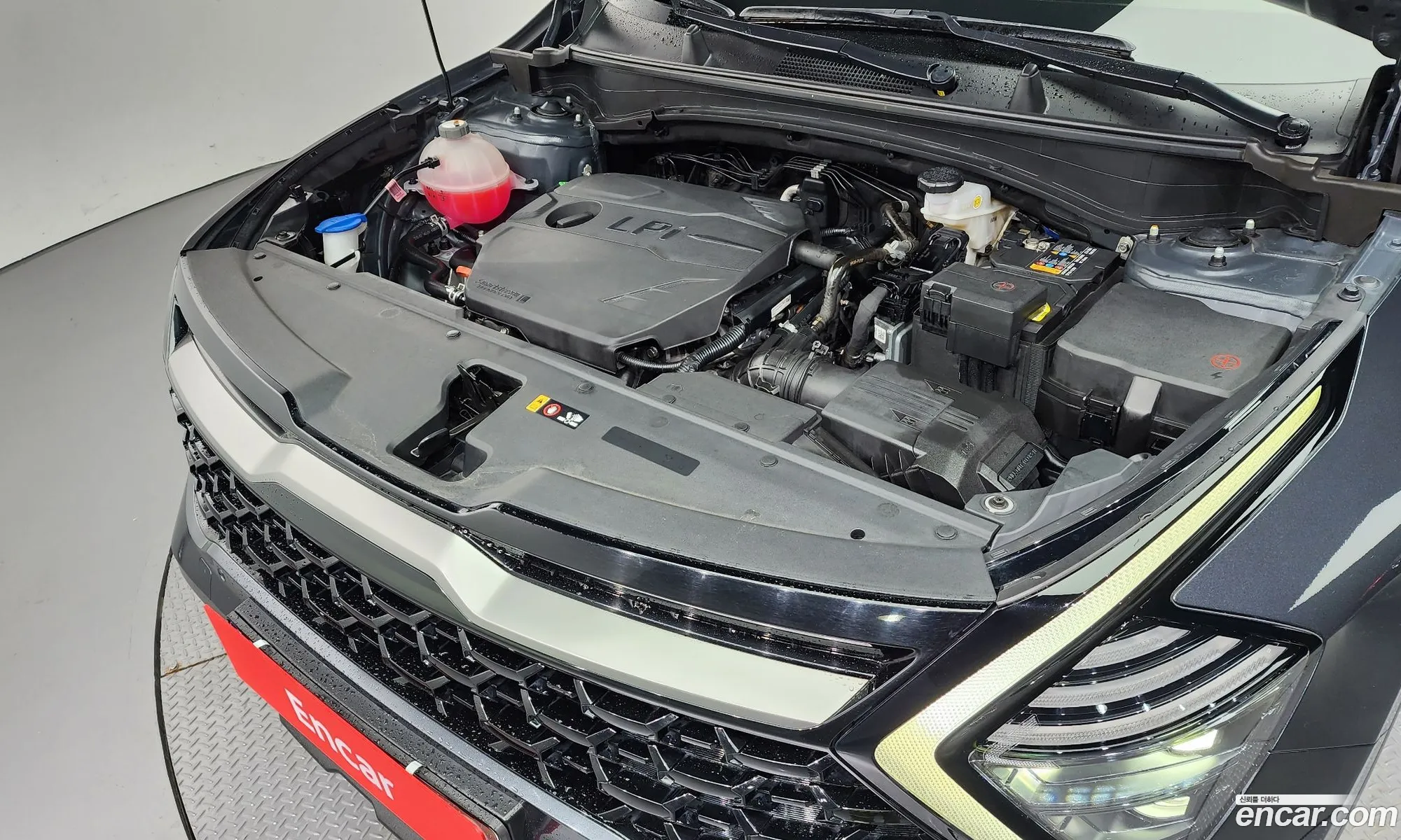 Kia Sportage 5Th Generation Lpg 20 2Wd Signature Gravity - фотография 12476879