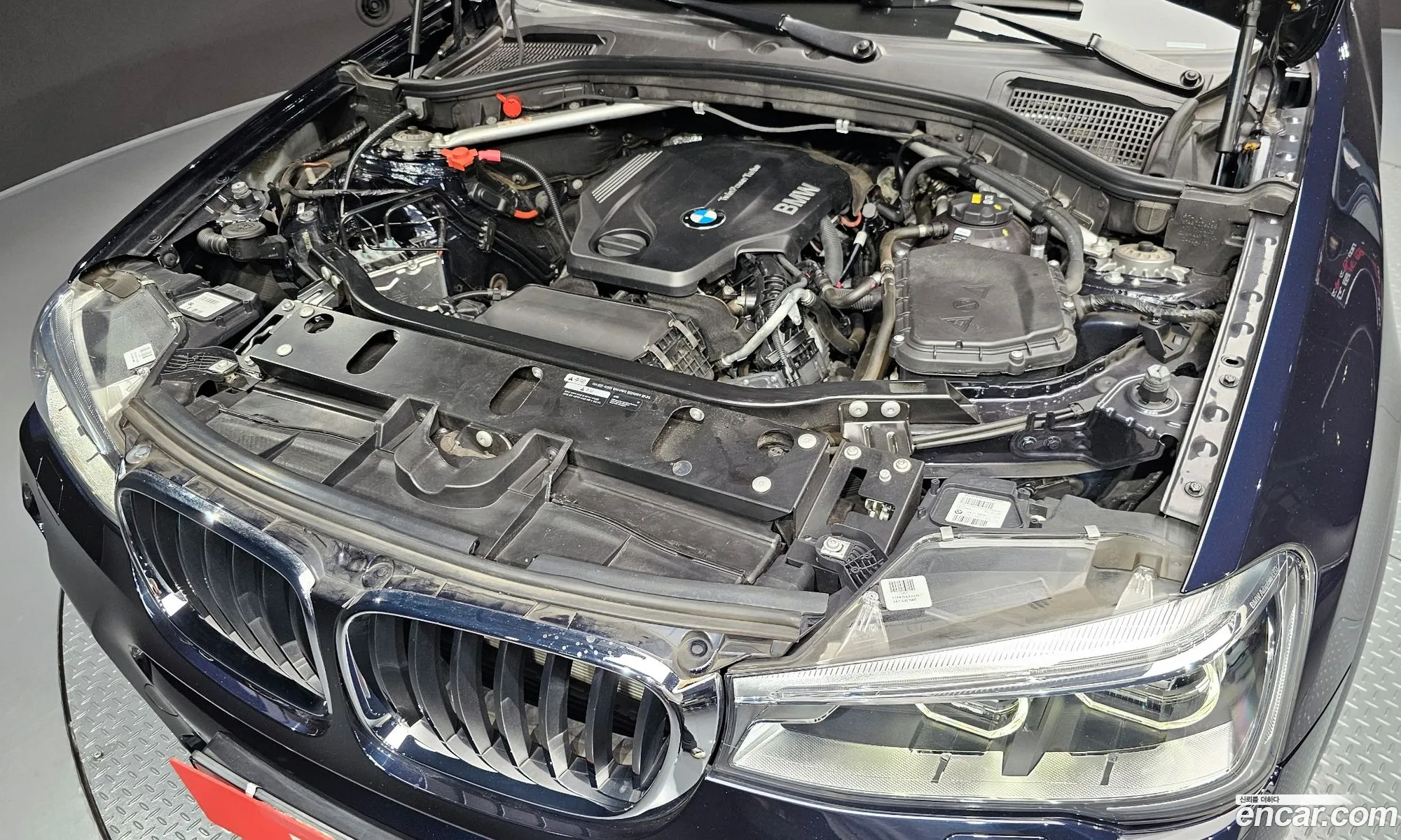 BMW X4 F26 xDrive20D M Sport - фотография 16213525