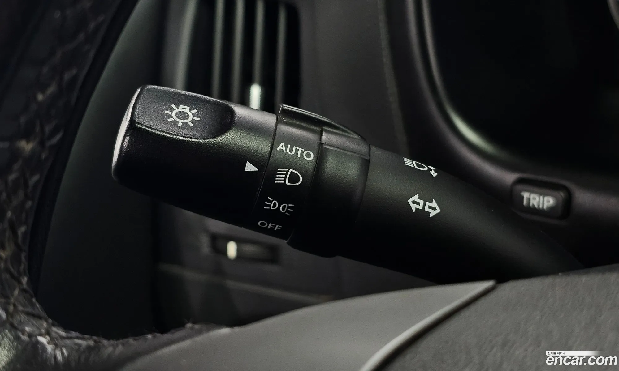 Korex Auto Trade - фотография 16830794