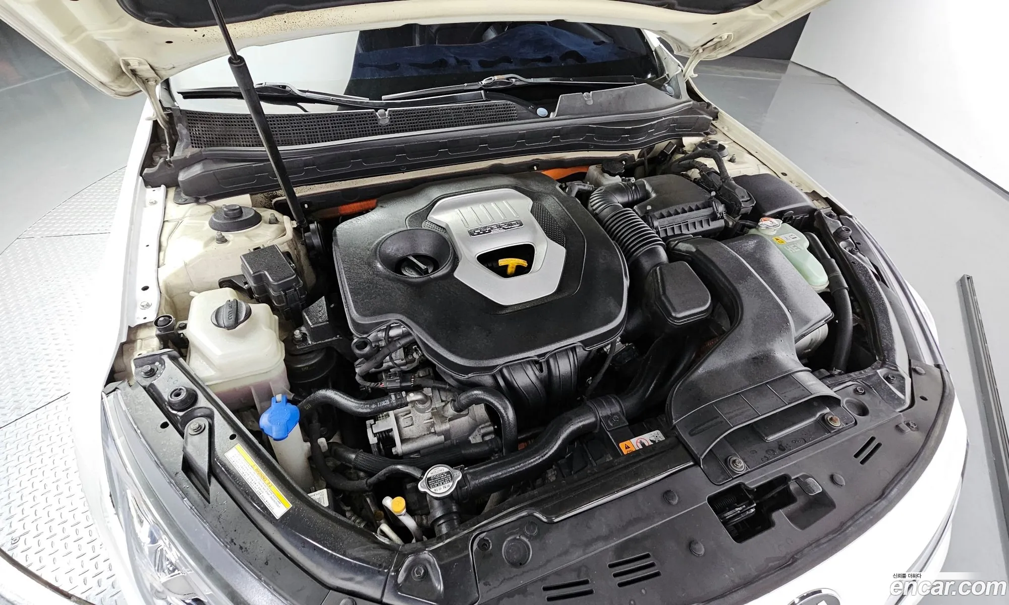 Kia K5 I Prestige 2011 - фотография 1567641