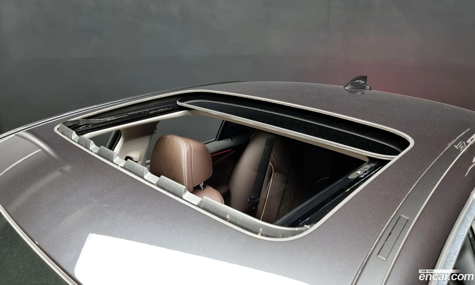 Korex Auto Trade - фотография 14524335