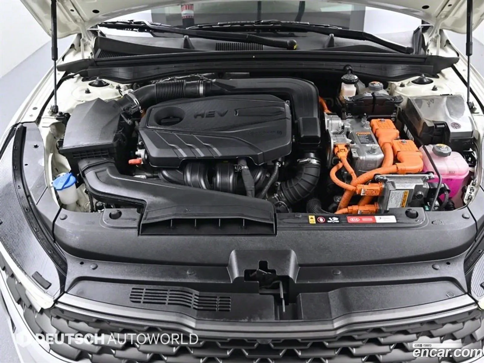 Kia K5 Hybrid 3Rd Generation Signature - фотография 1547316