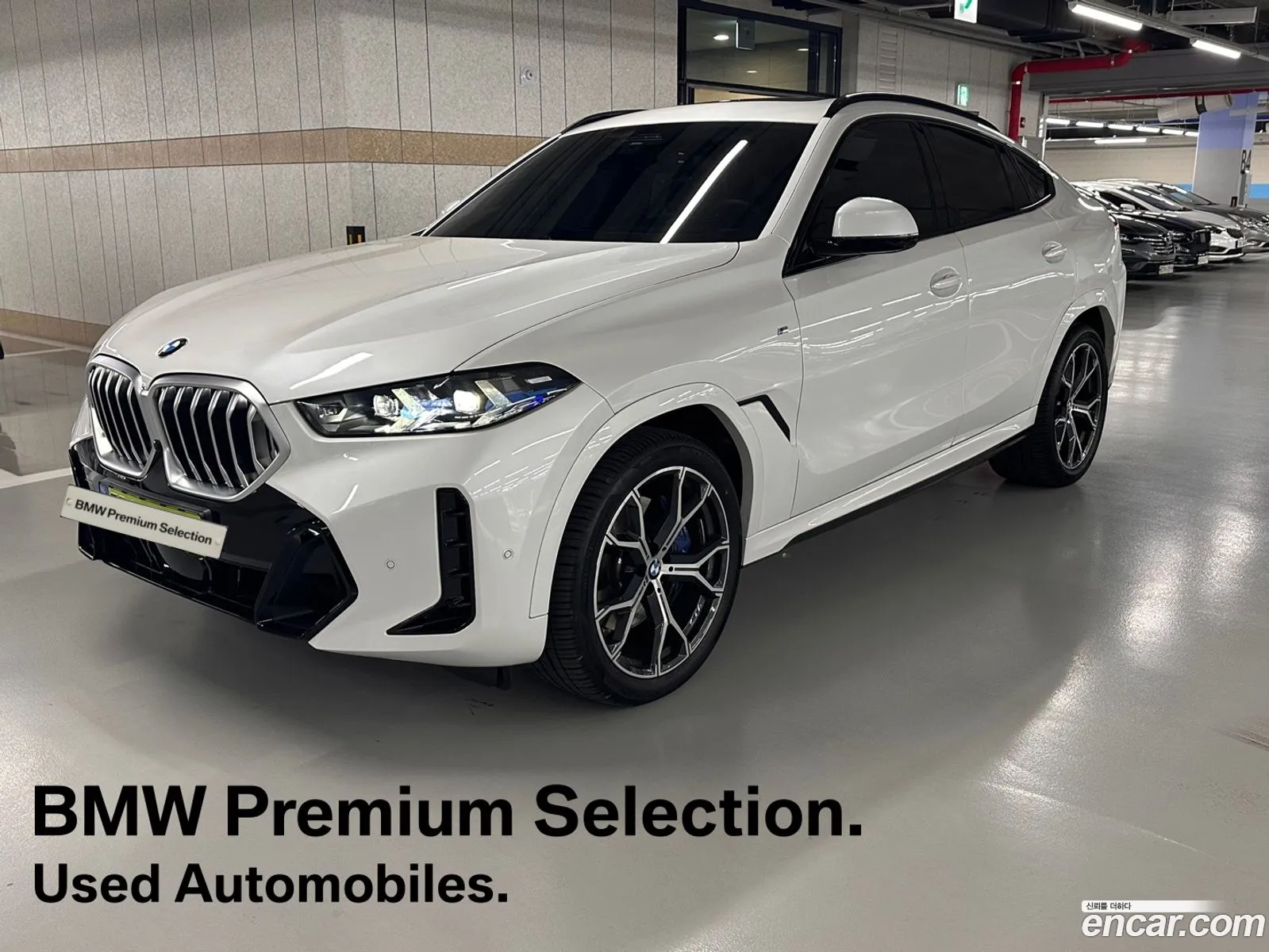 BMW X6 G06 xDrive30D M Sports - фотография 14411283