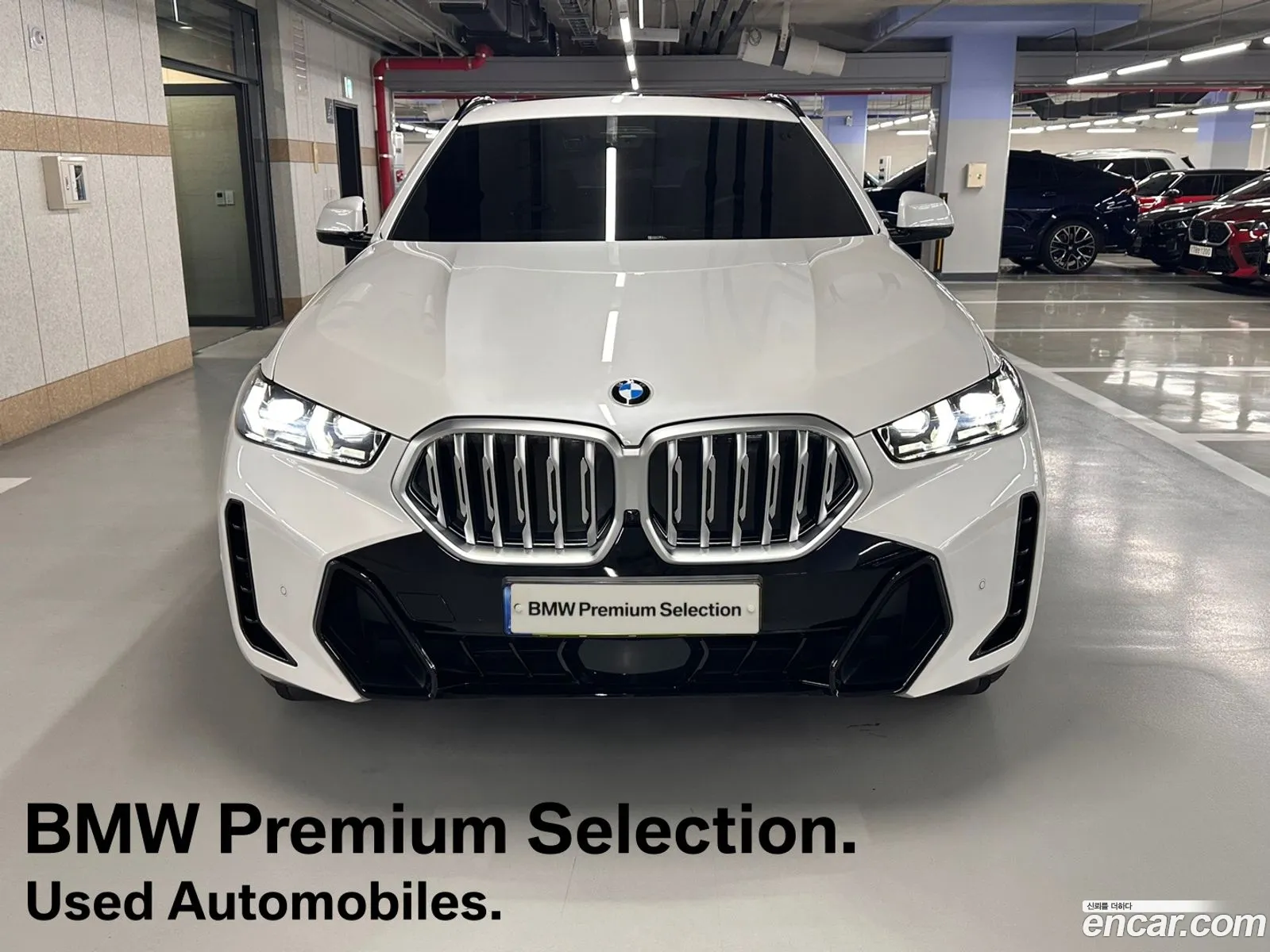 BMW X6 G06 xDrive30D M Sports - фотография 14411285