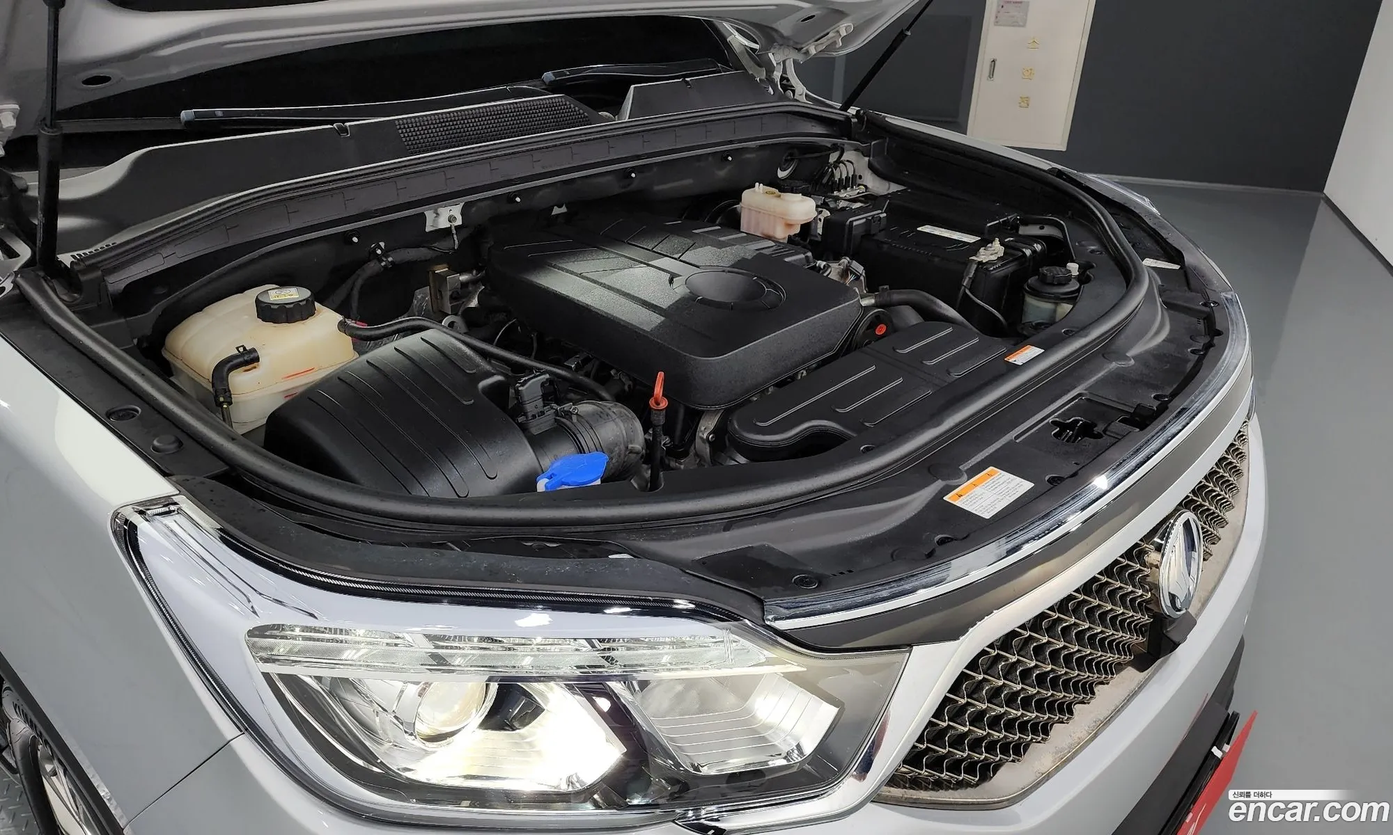 Kg Mobility Ssangyong G4 Rexton Diesel 22 4Wd Eurasia Edition - фотография 7479820