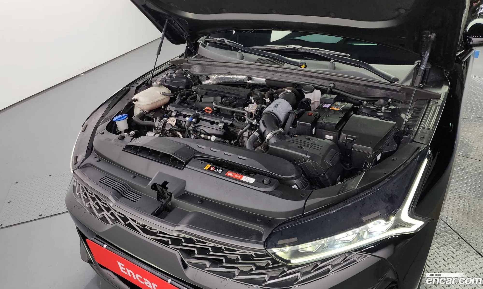 Kia K5 3Rd Generation 16 Turbo Signature - фотография 12481579